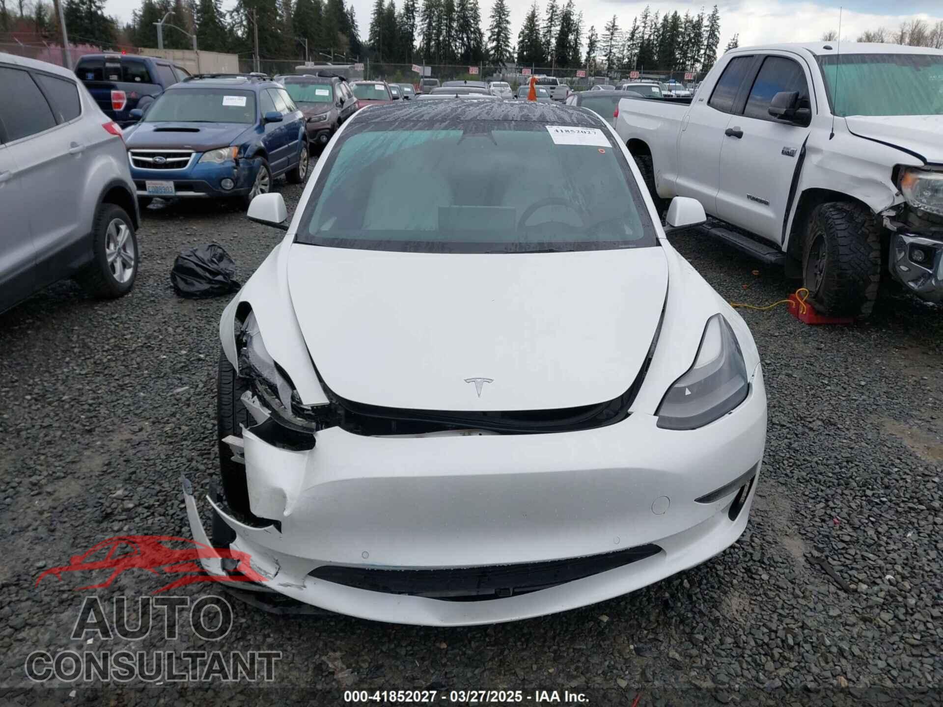 TESLA MODEL 3 2021 - 5YJ3E1EA4MF096048