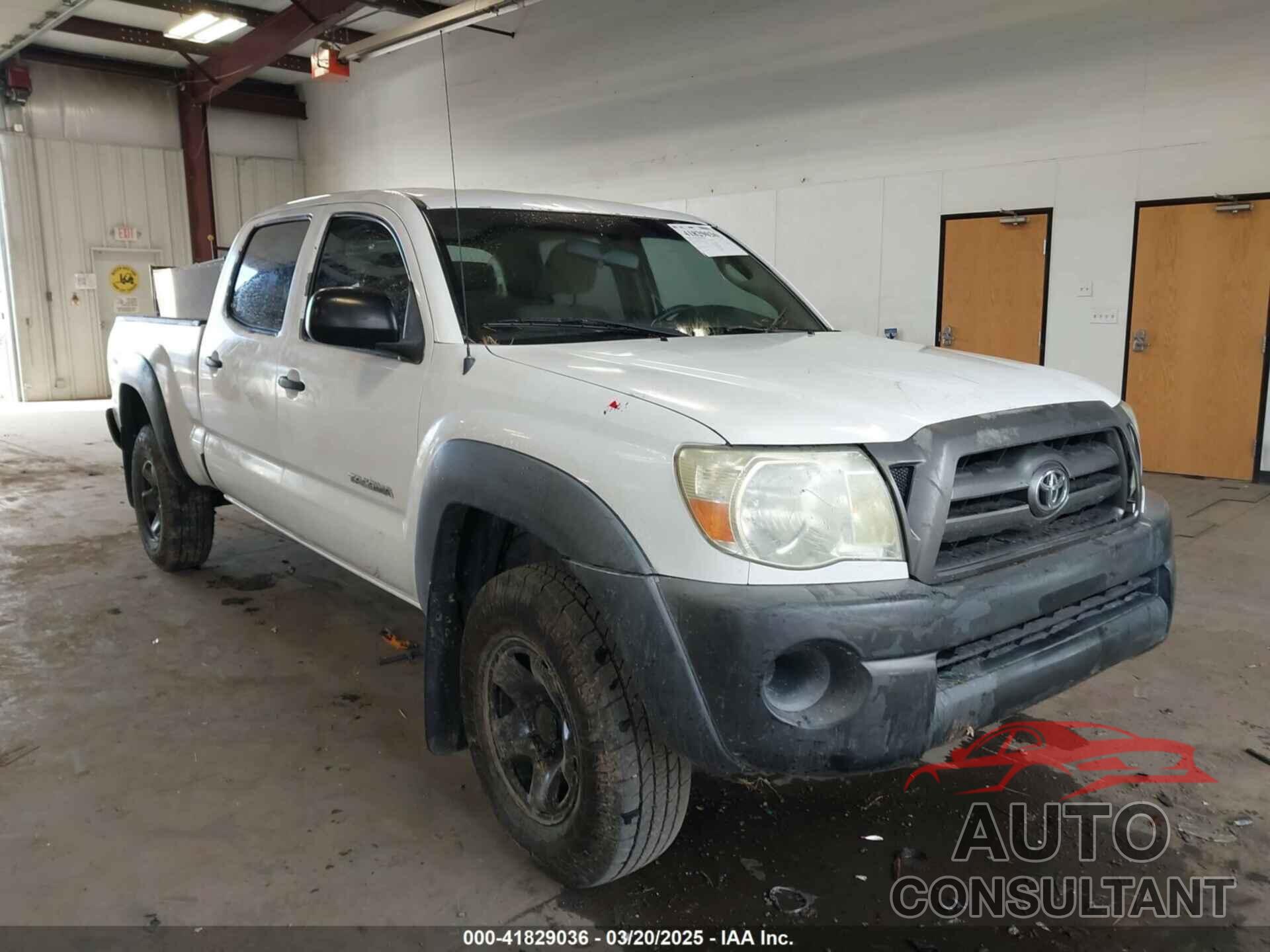 TOYOTA TACOMA 2009 - 3TMMU52N19M010946