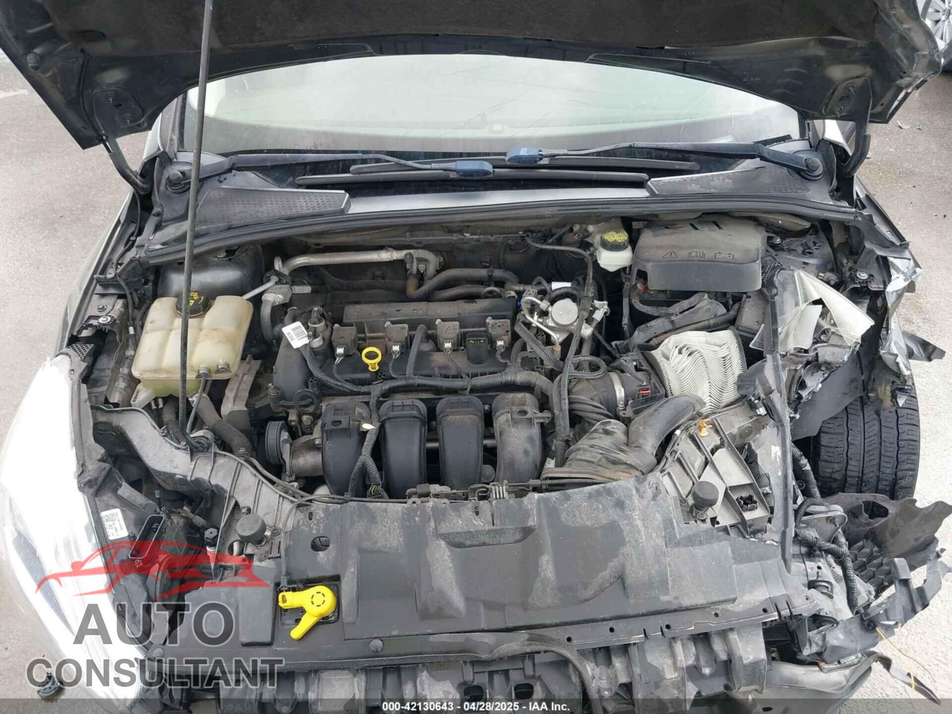 FORD FOCUS 2017 - 1FADP3N20HL210364