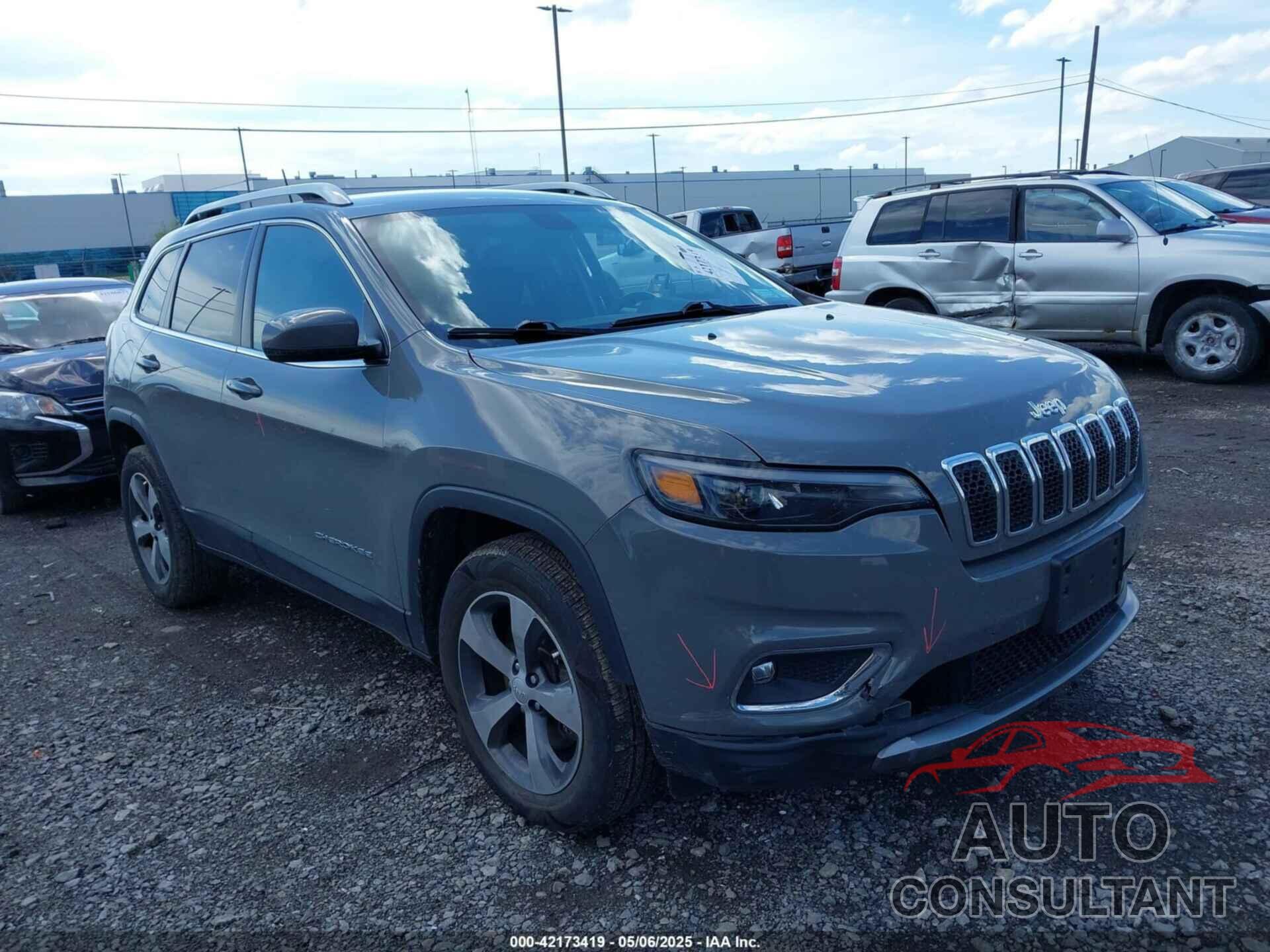 JEEP CHEROKEE 2019 - 1C4PJMDX4KD451079