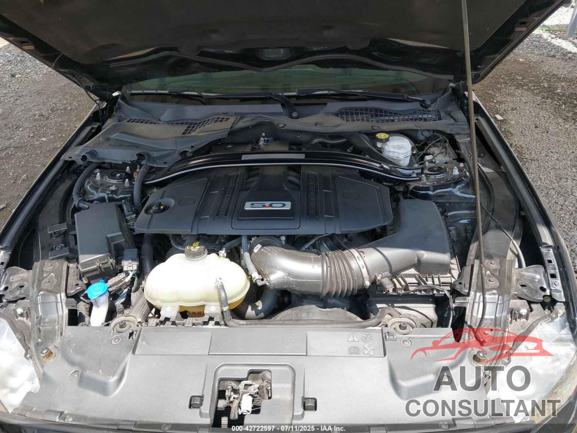FORD MUSTANG 2021 - 1FA6P8CF8M5152398
