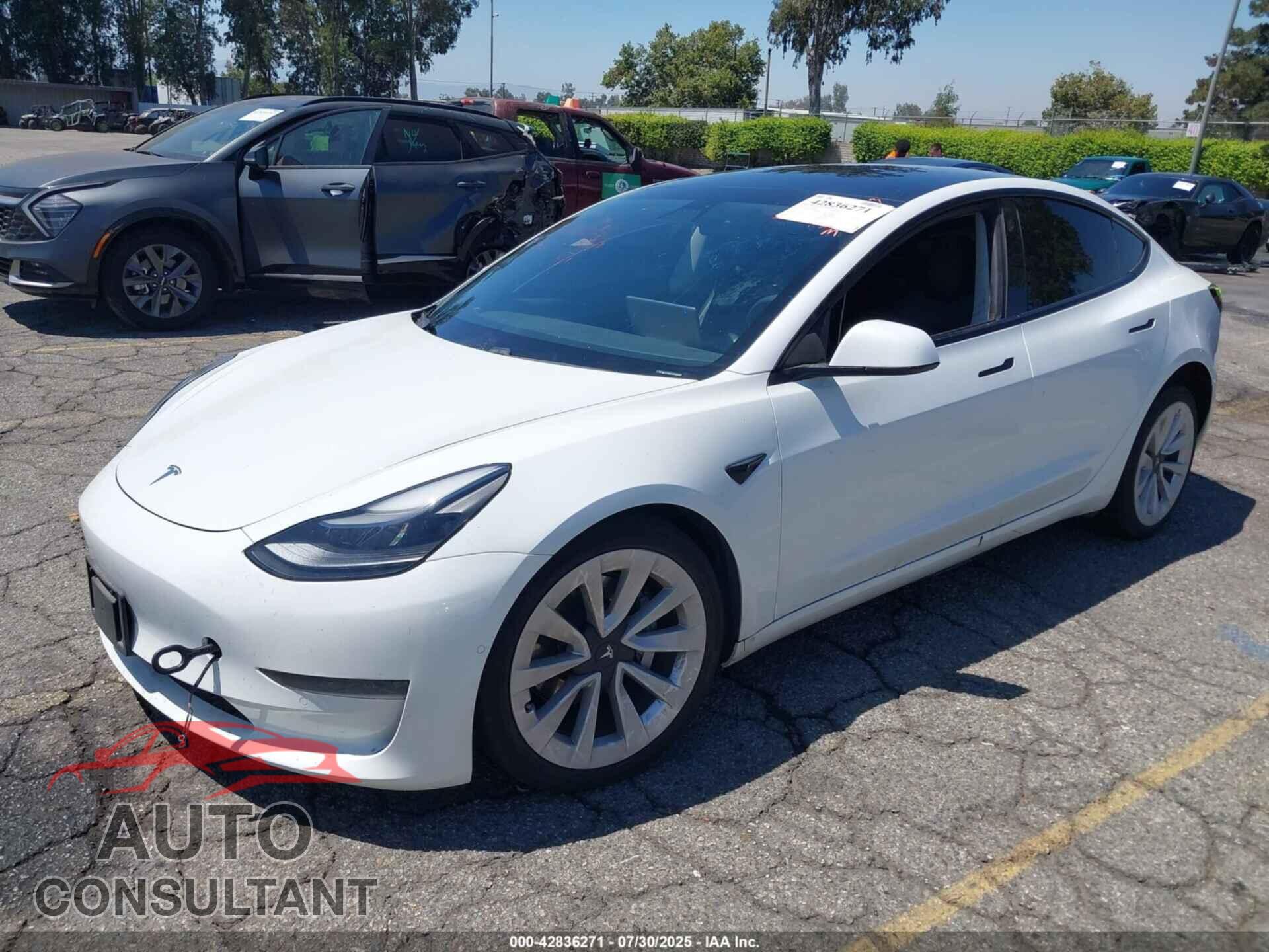 TESLA MODEL 3 2021 - 5YJ3E1EA7MF982672