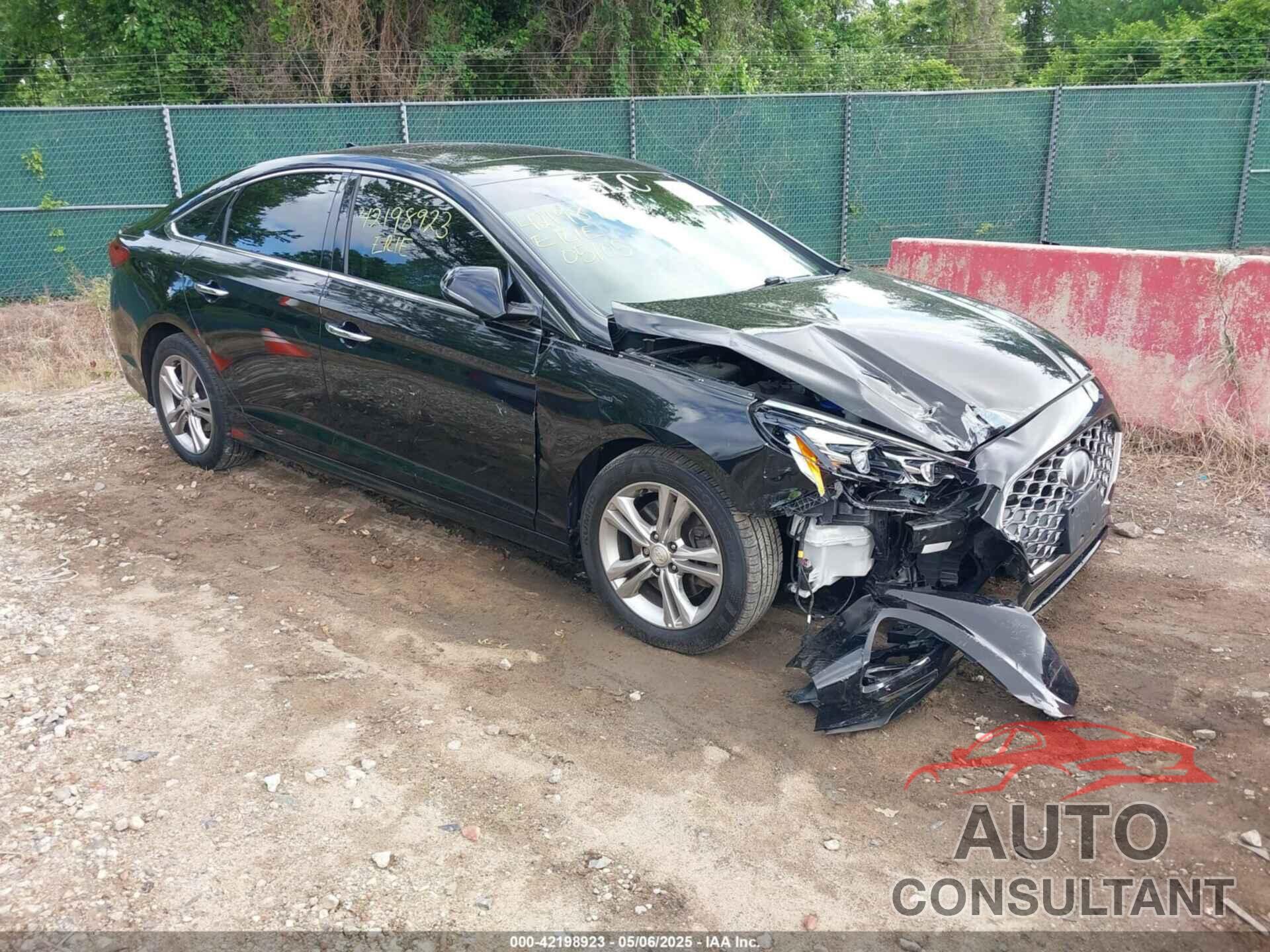 HYUNDAI SONATA 2019 - 5NPE34AF9KH744077