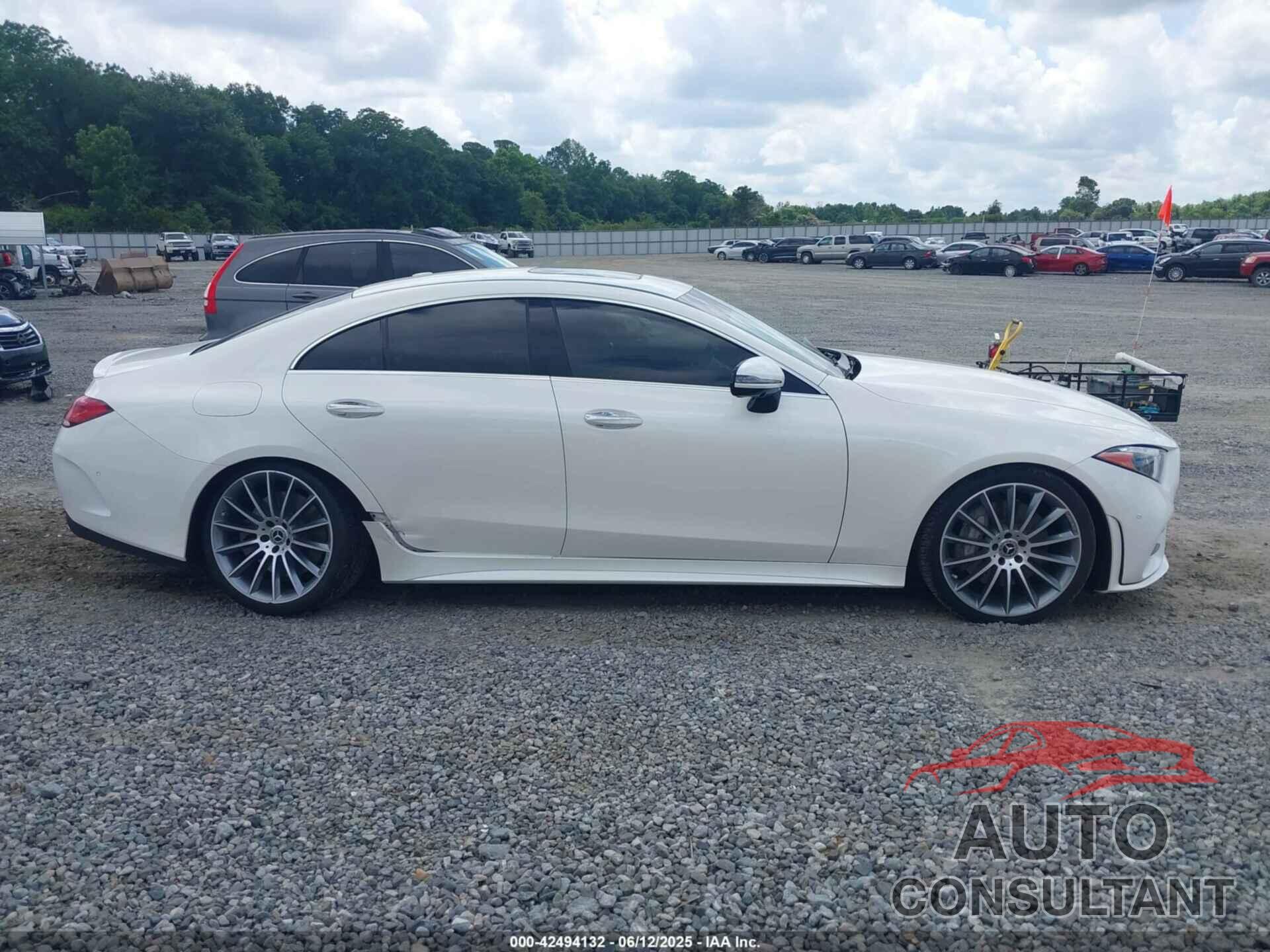 MERCEDES-BENZ CLS 450 2019 - WDD2J5JB4KA028082