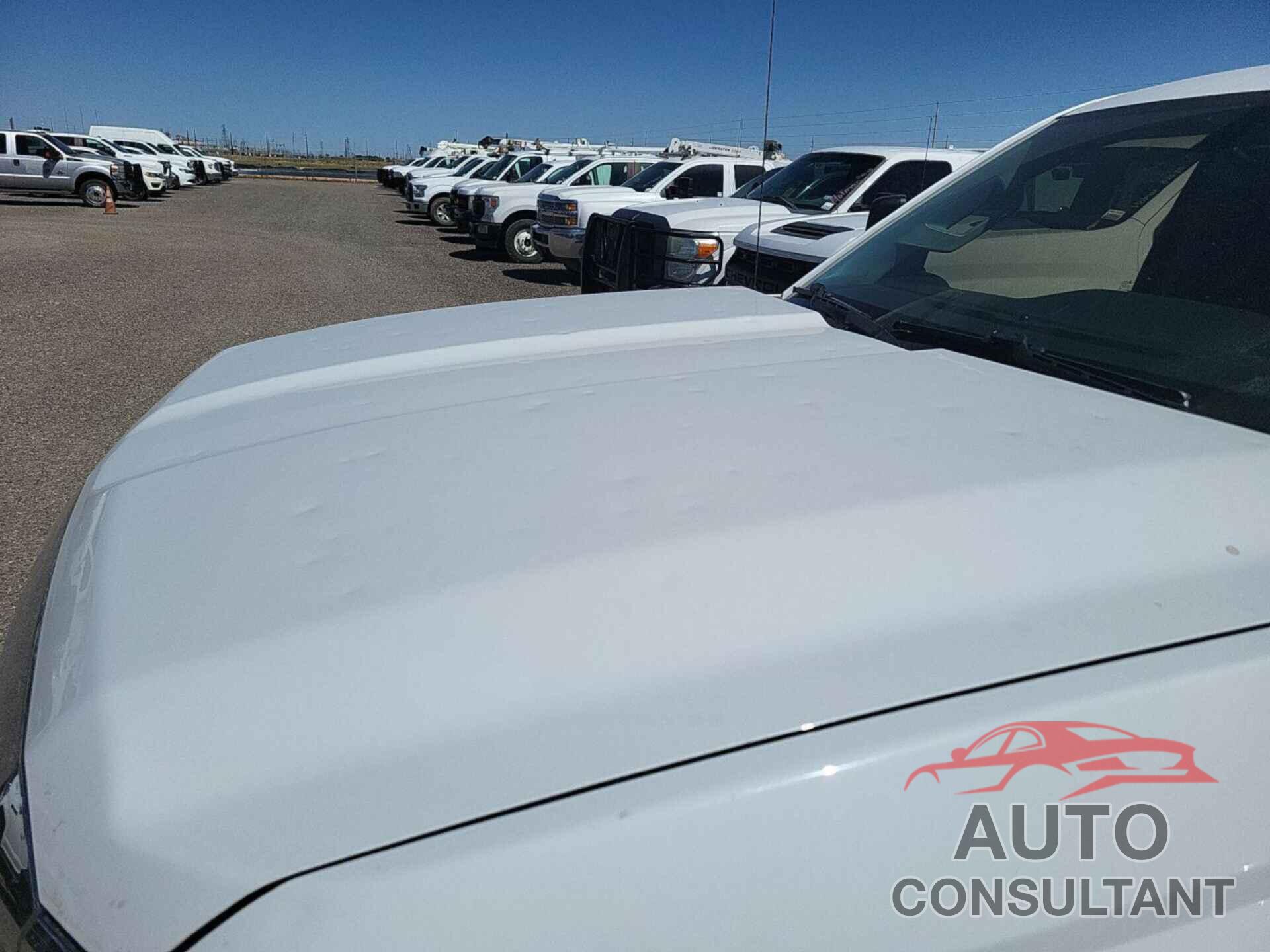 CHEVROLET SILVERADO 2019 - 2GC2KSEG5K1209293