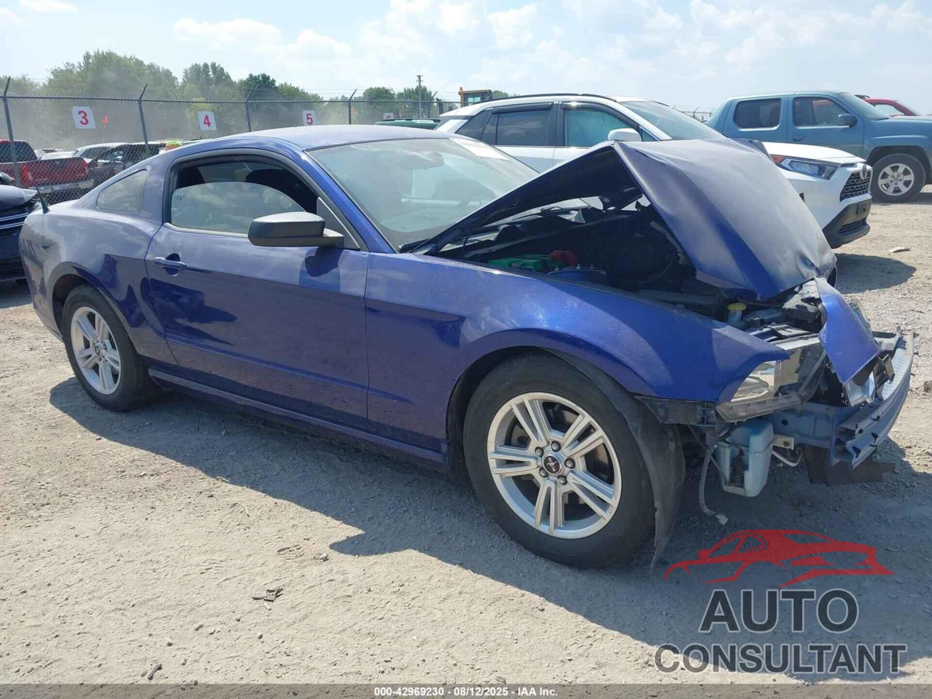 FORD MUSTANG 2014 - 1ZVBP8AM6E5253108