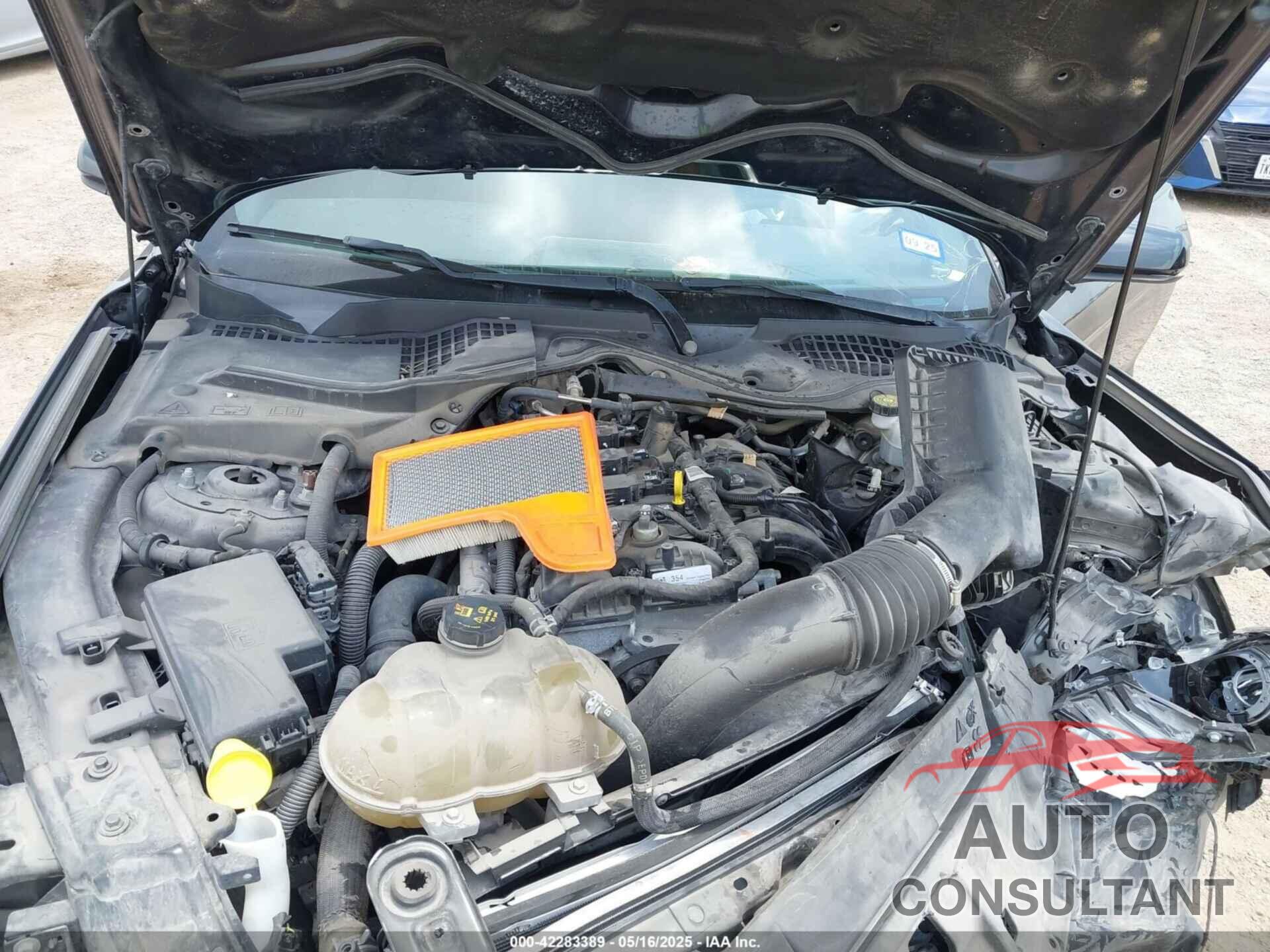 FORD MUSTANG 2019 - 1FA6P8THXK5125833