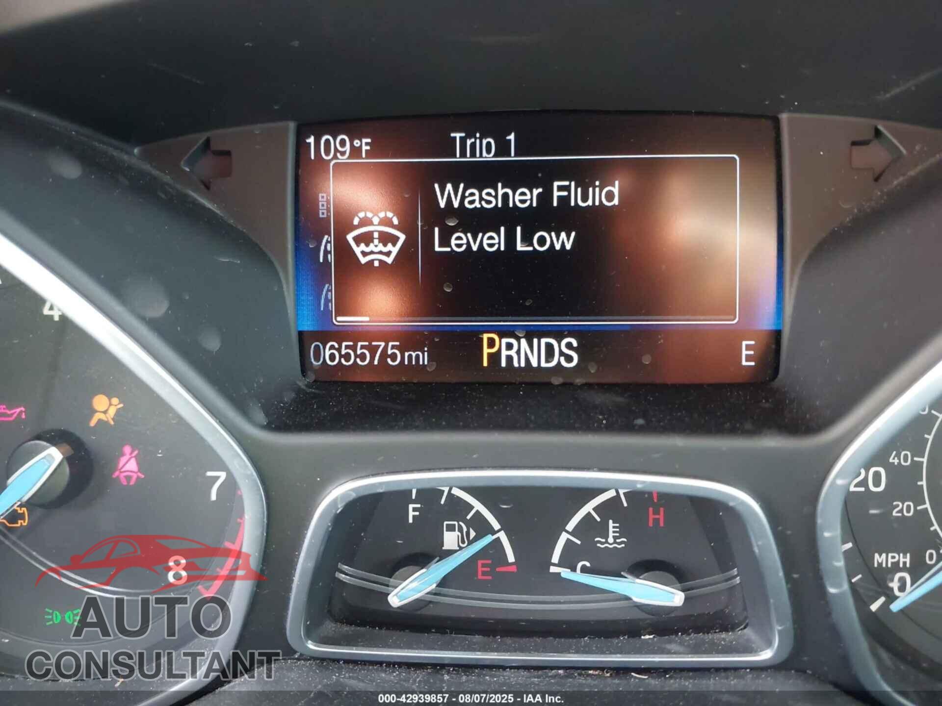 FORD FOCUS 2016 - 1FADP3F2XGL360902