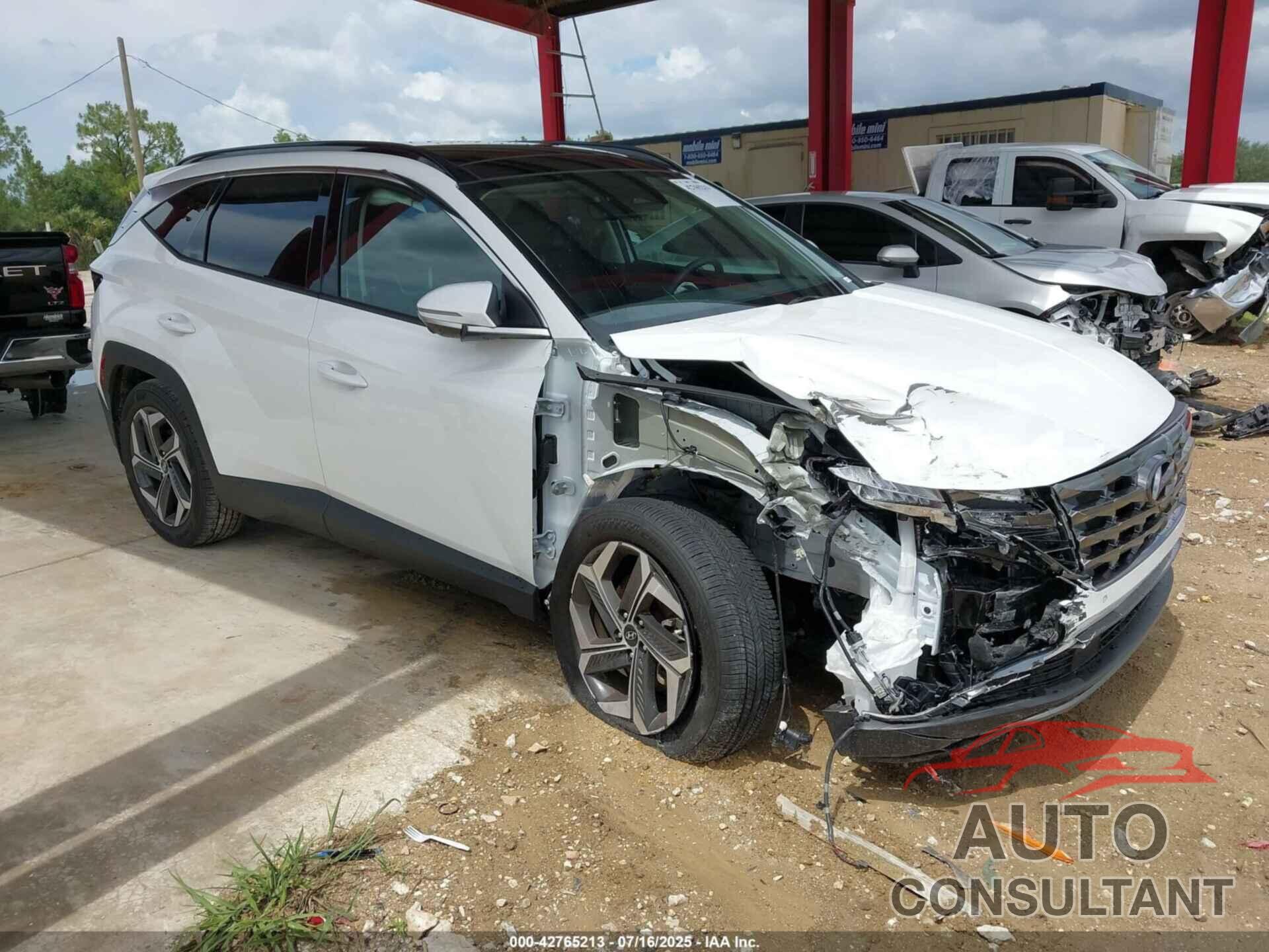 HYUNDAI TUCSON 2024 - 5NMJE3DE8RH394146