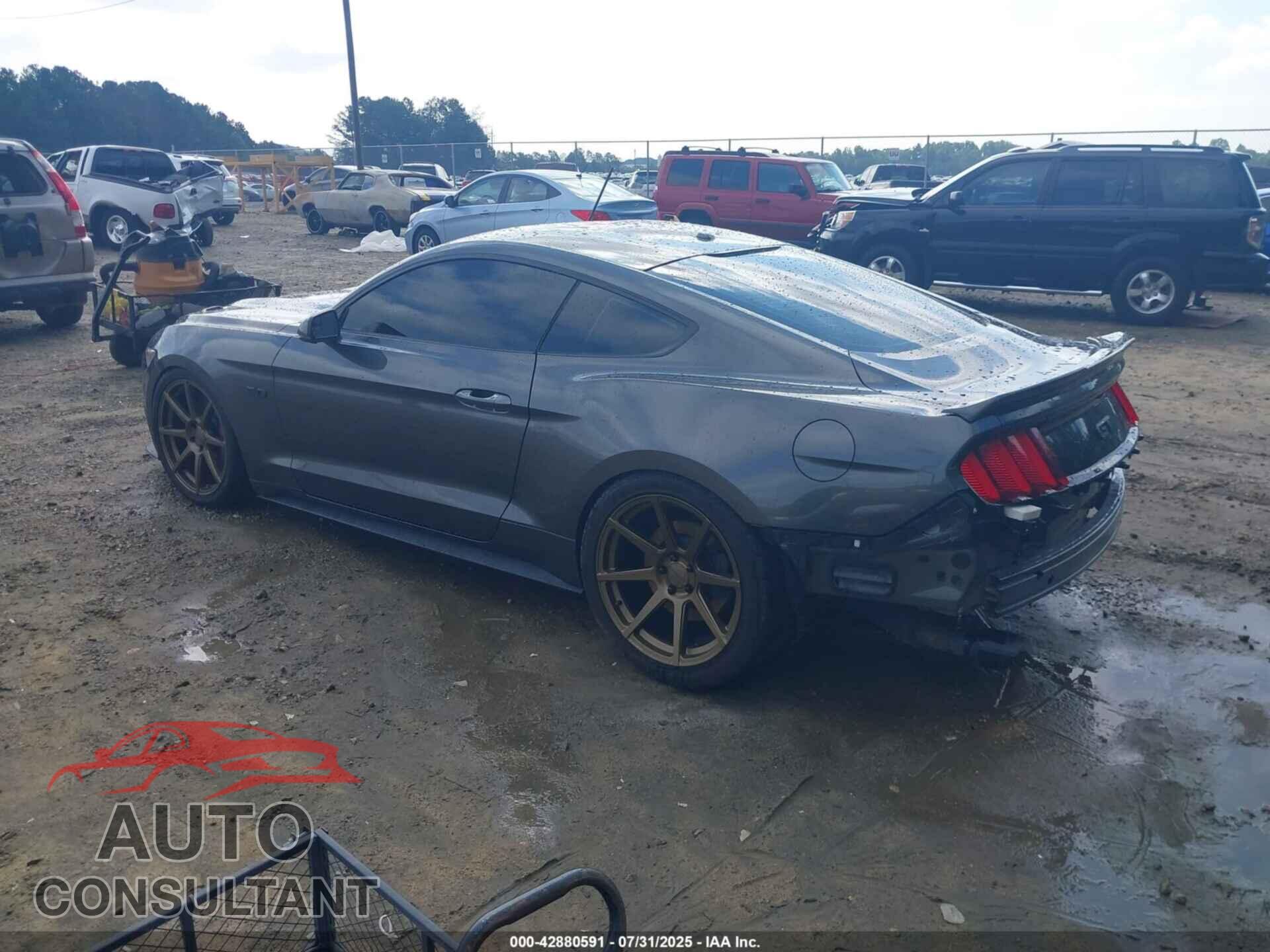 FORD MUSTANG 2017 - 1FA6P8CF6H5300960