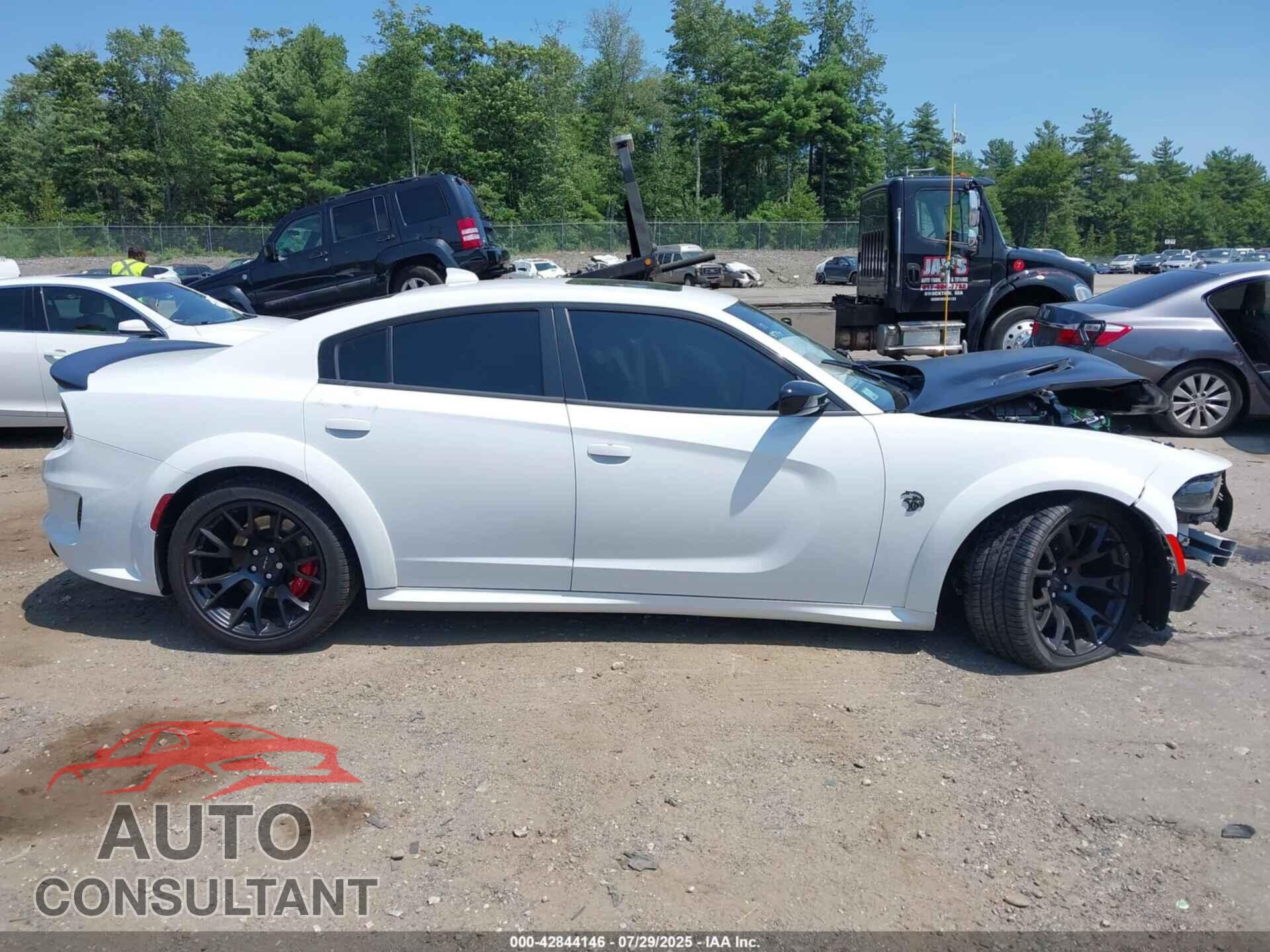 DODGE CHARGER 2023 - 2C3CDXL90PH681971