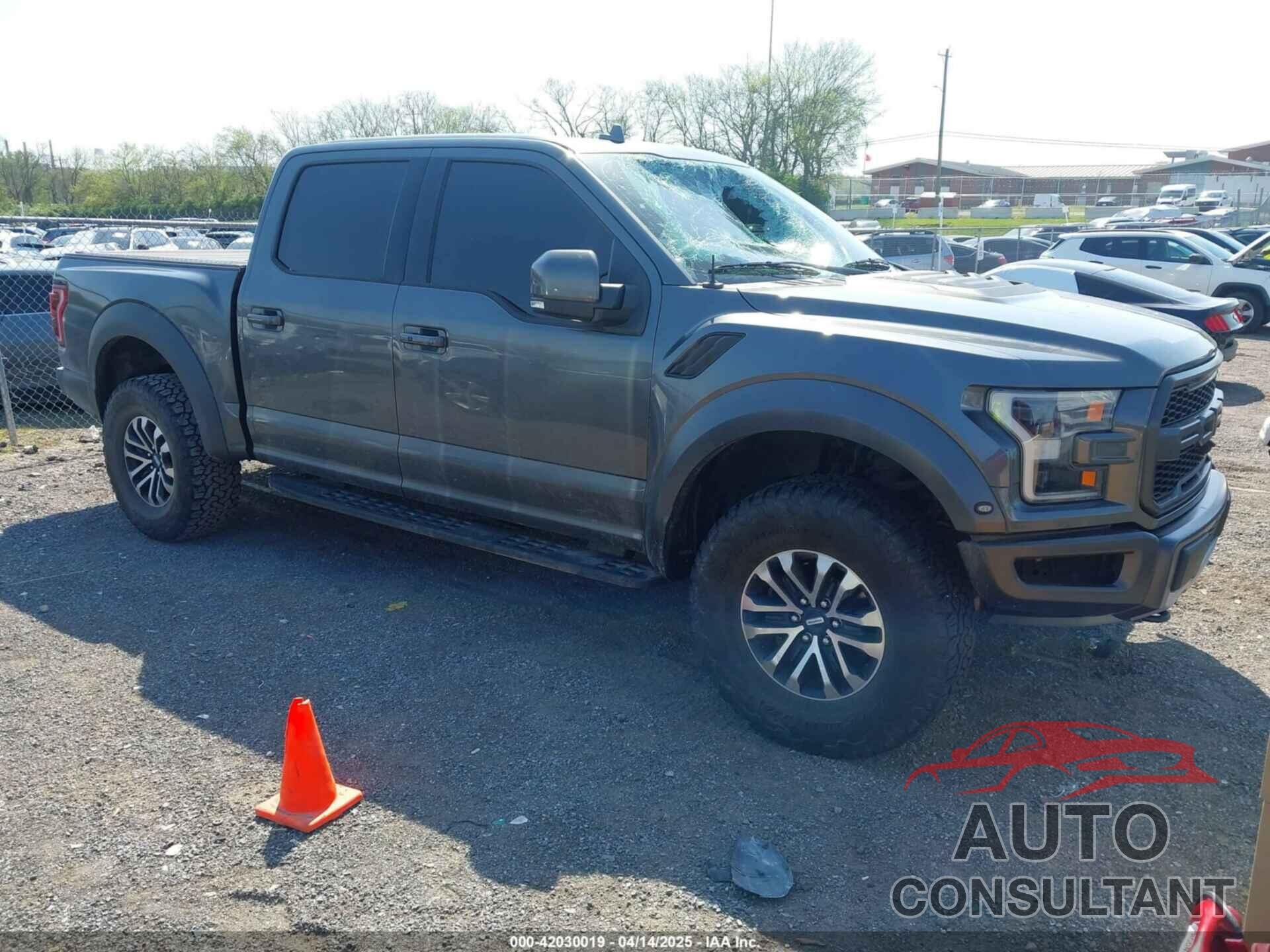 FORD F-150 2019 - 1FTFW1RG7KFC95810