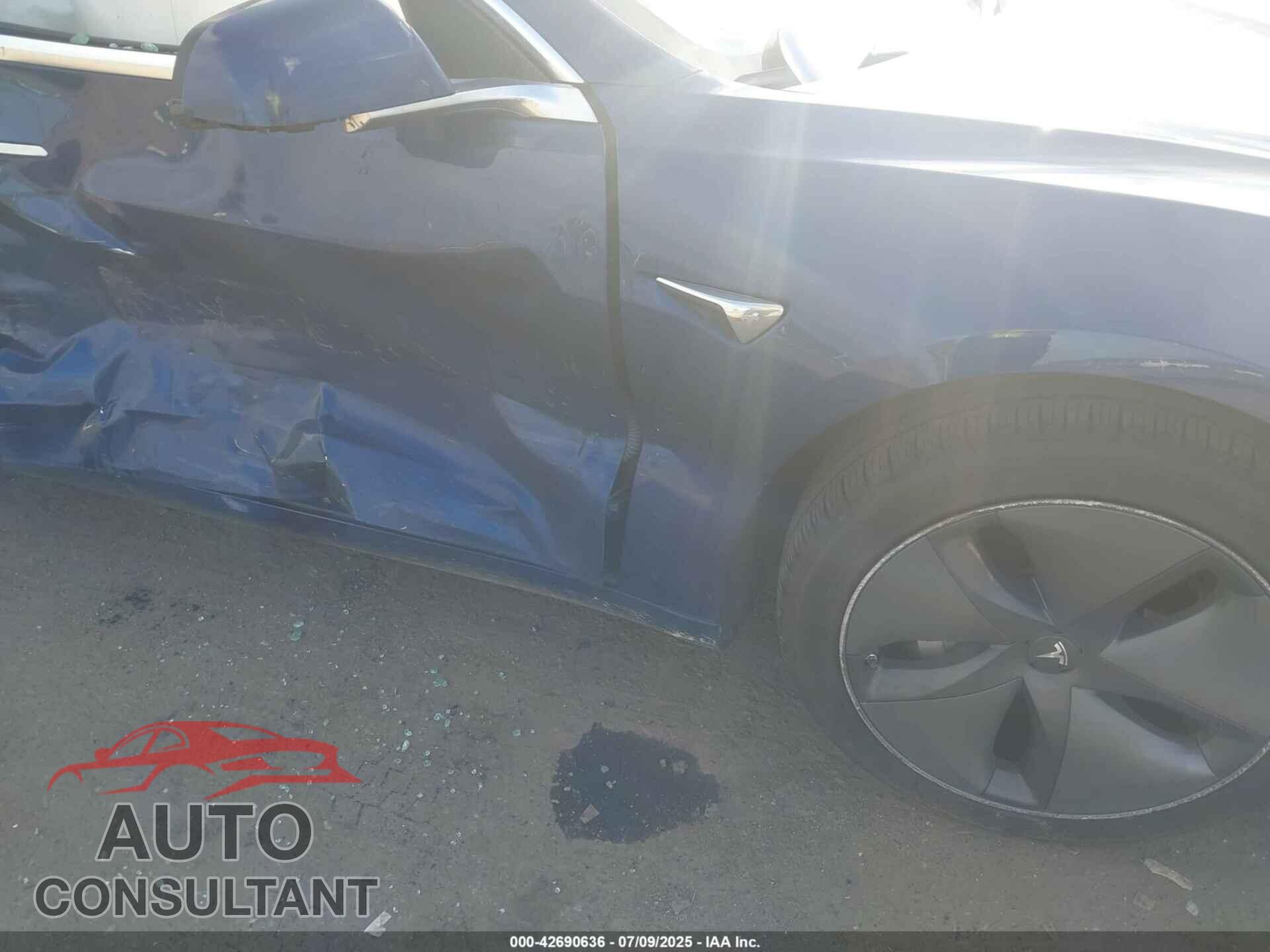 TESLA MODEL 3 2019 - 5YJ3E1EB7KF480475