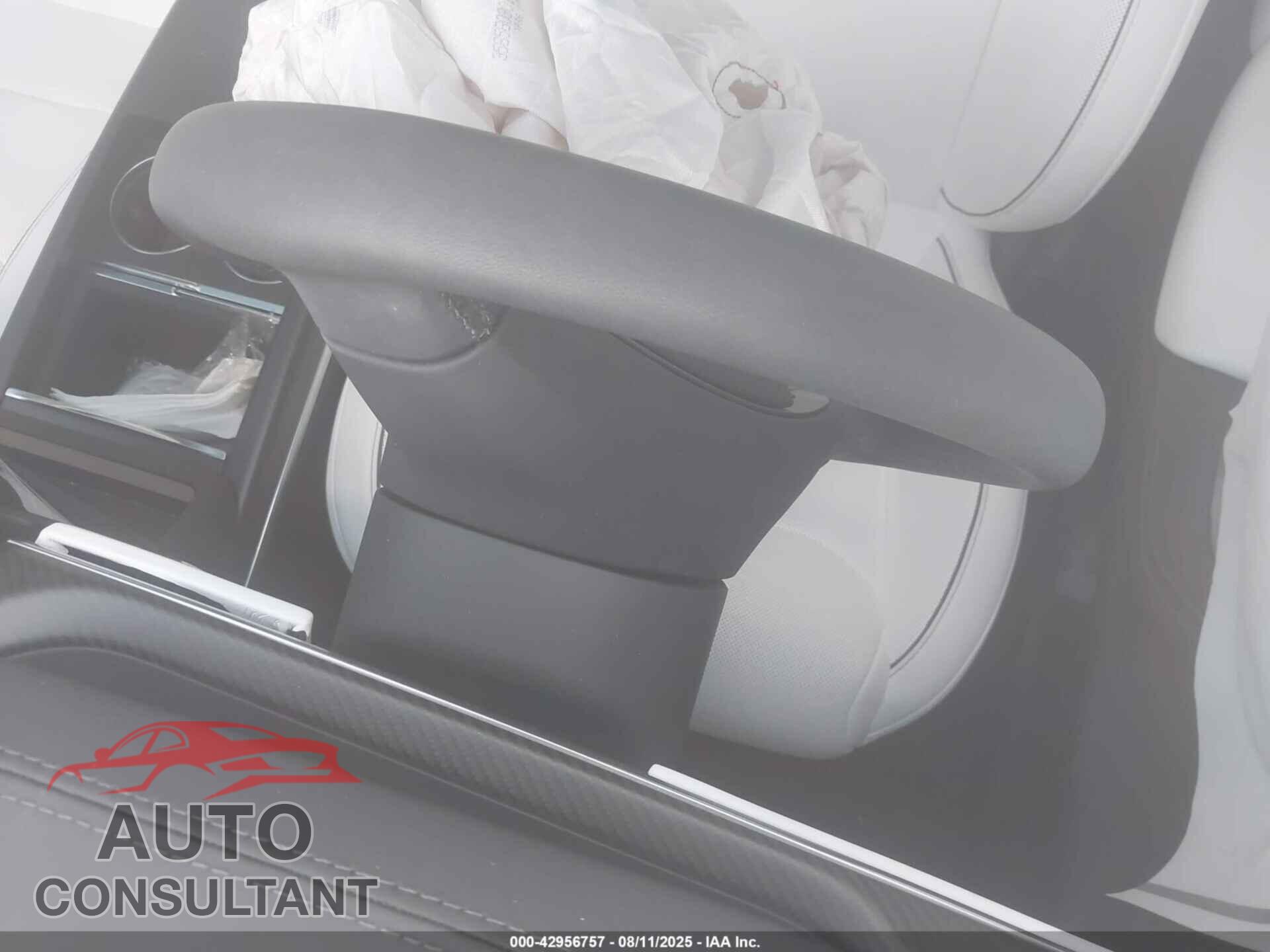 TESLA MODEL X 2023 - 7SAXCBE65PF418602