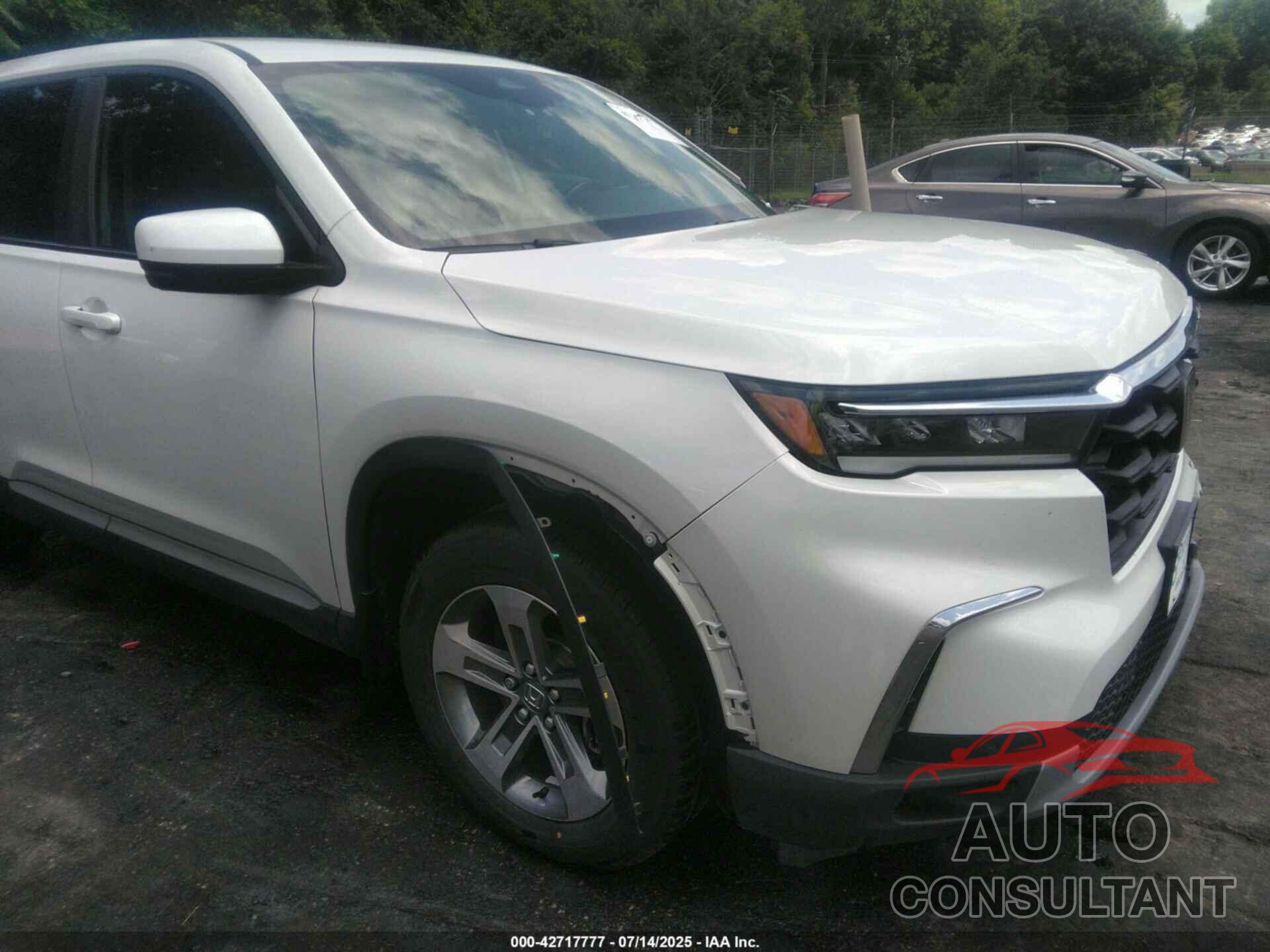 HONDA PILOT 2023 - 5FNYG2H44PB004243