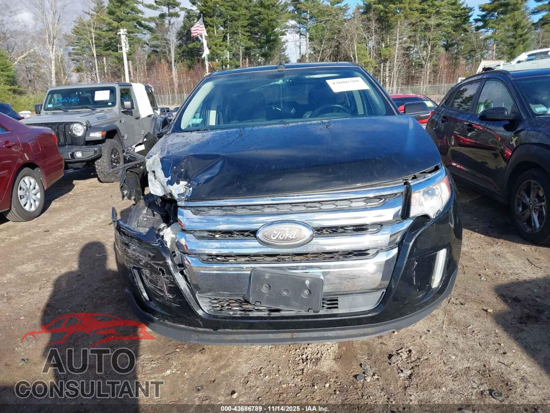 FORD EDGE 2014 - 2FMDK4KC2EBA22447