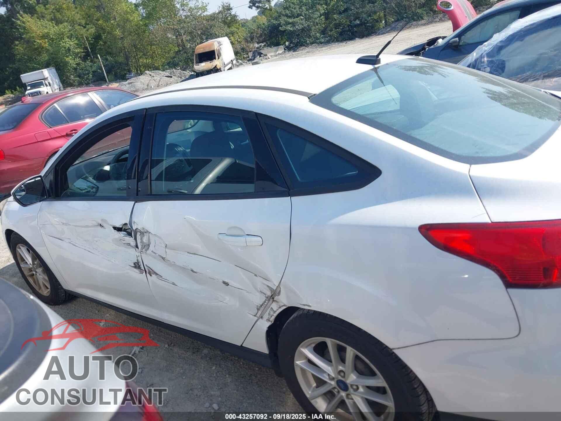 FORD FOCUS 2016 - 1FADP3F23GL320287