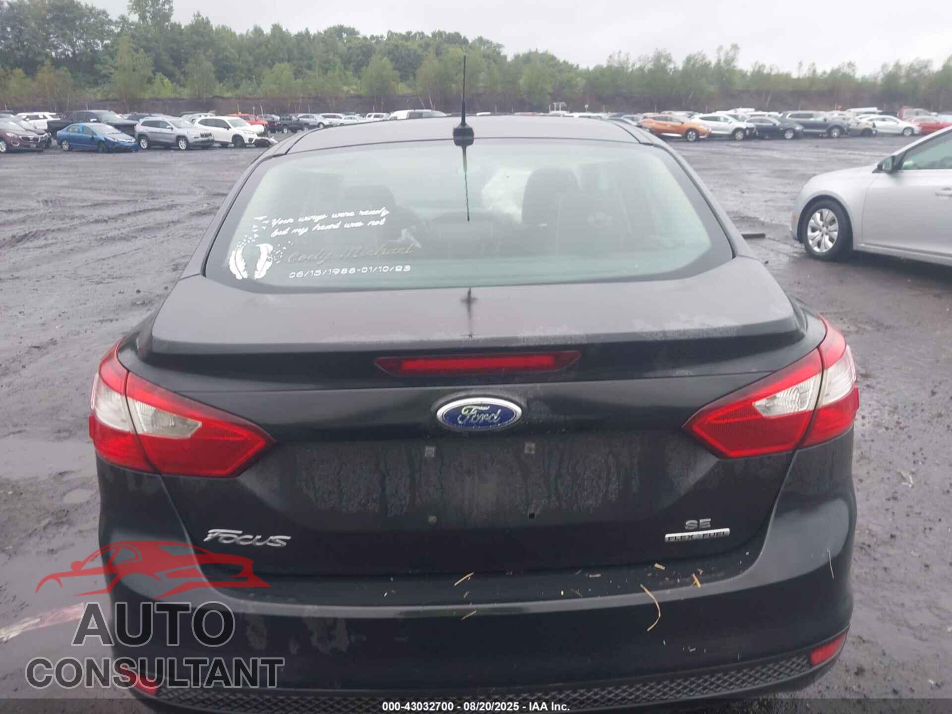 FORD FOCUS 2013 - 1FADP3F23DL305655