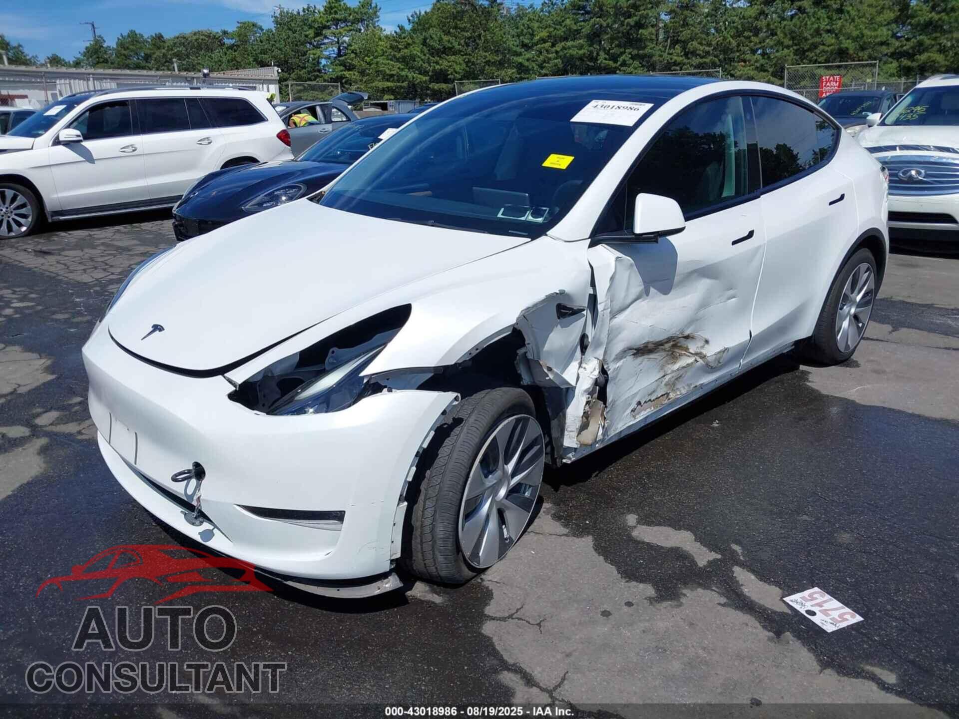 TESLA MODEL Y 2023 - 7SAYGAEE5PF686544