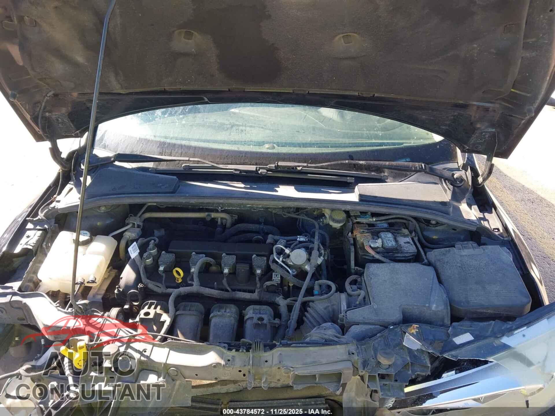 FORD FOCUS 2016 - 1FADP3E25GL324553