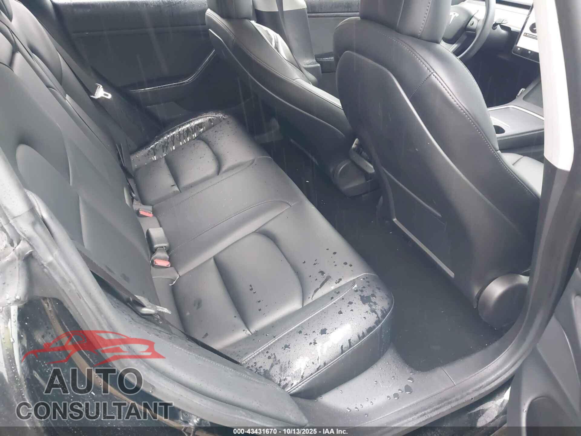 TESLA MODEL 3 2021 - 5YJ3E1ECXMF914237