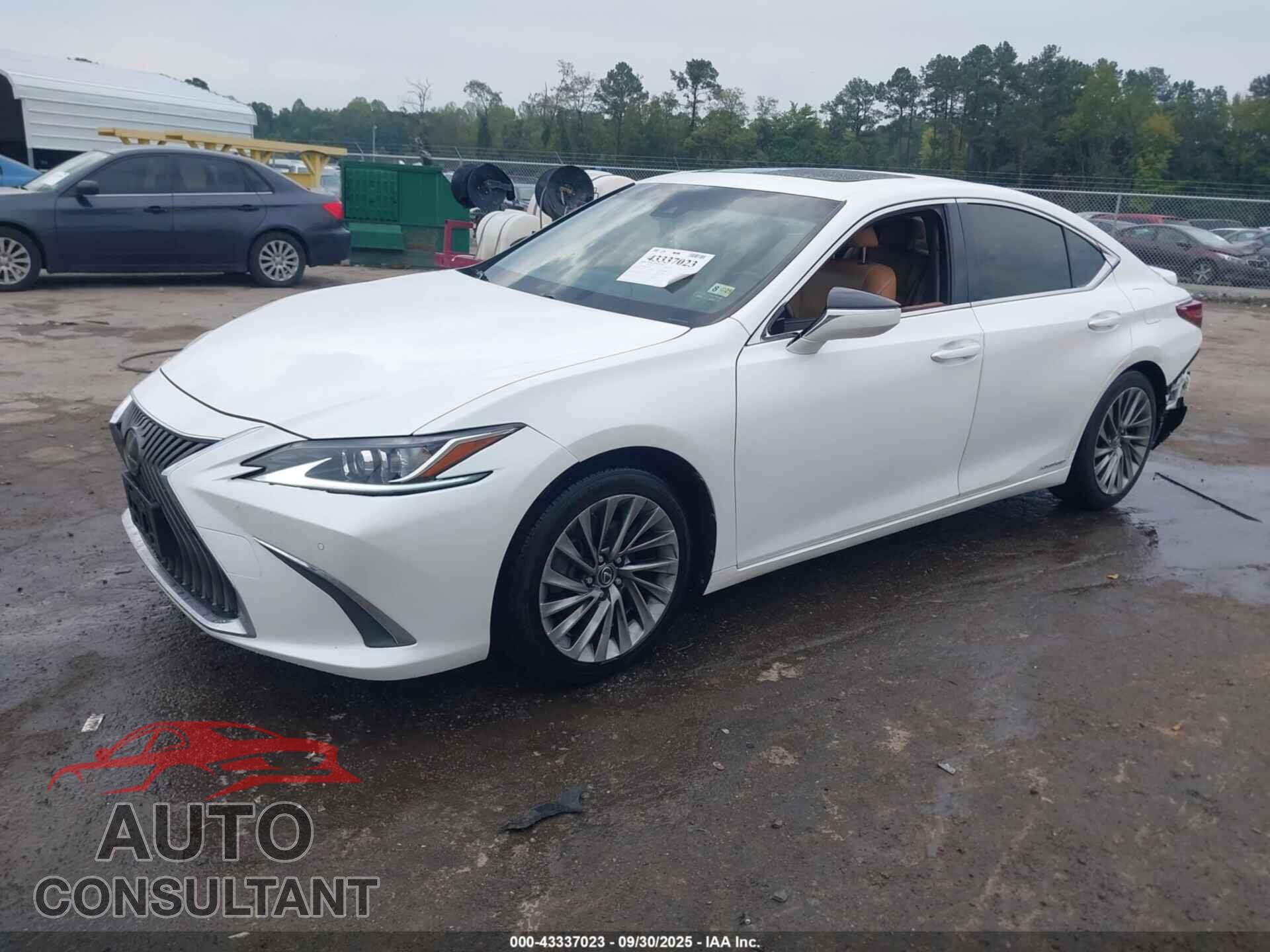 LEXUS ES 300H 2019 - JTHB21B18K2004091