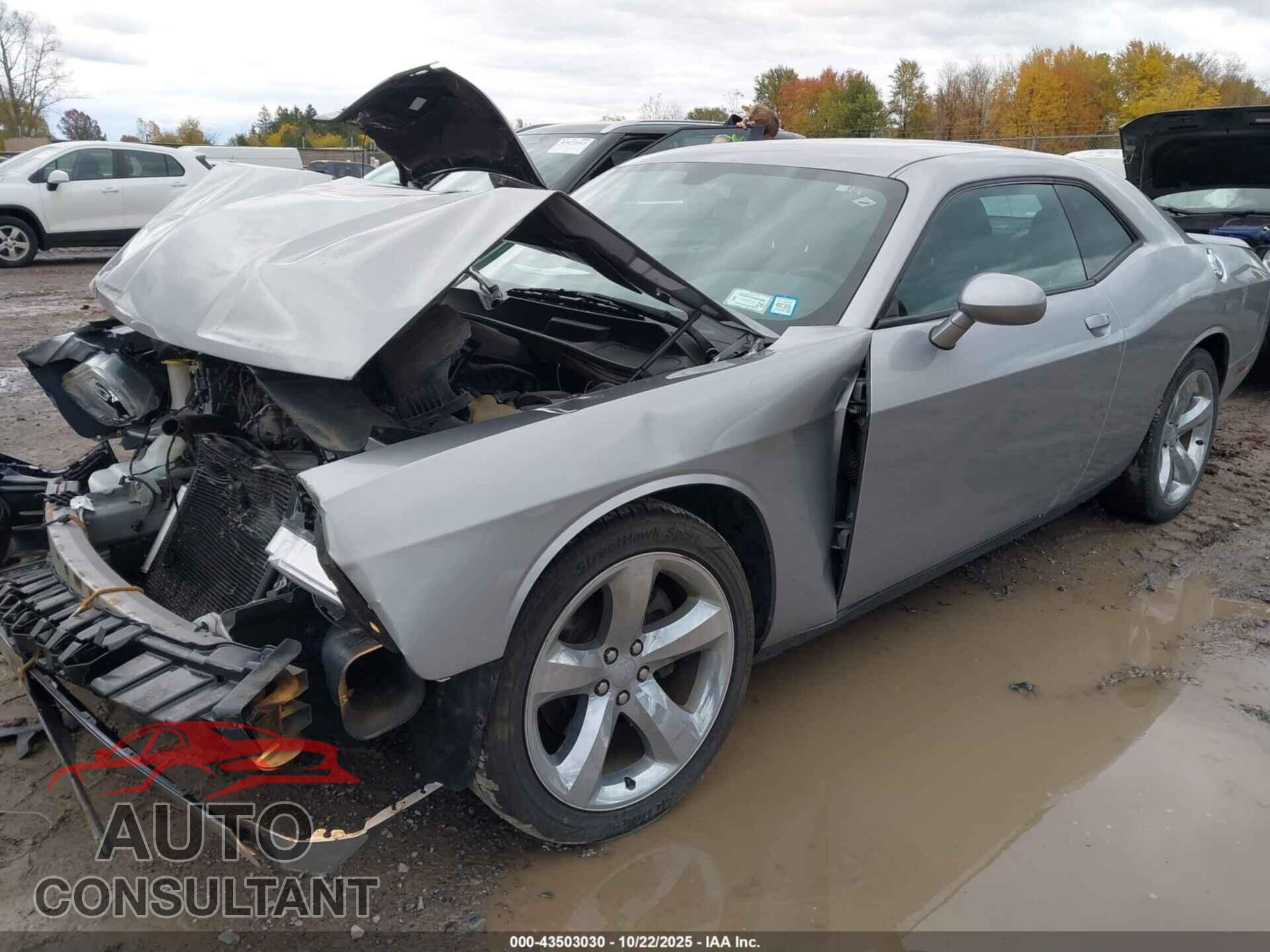 DODGE CHALLENGER 2013 - 2C3CDYAG1DH674806