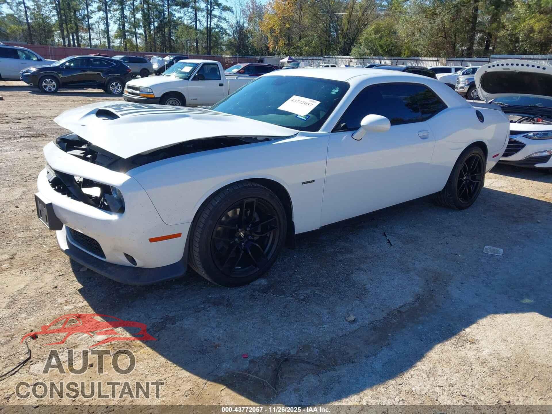 DODGE CHALLENGER 2019 - 2C3CDZBT5KH543456