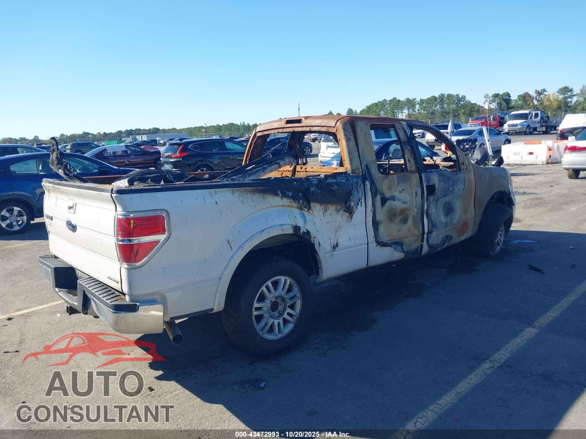 FORD F-150 2013 - 1FTFX1CF5DFD74912