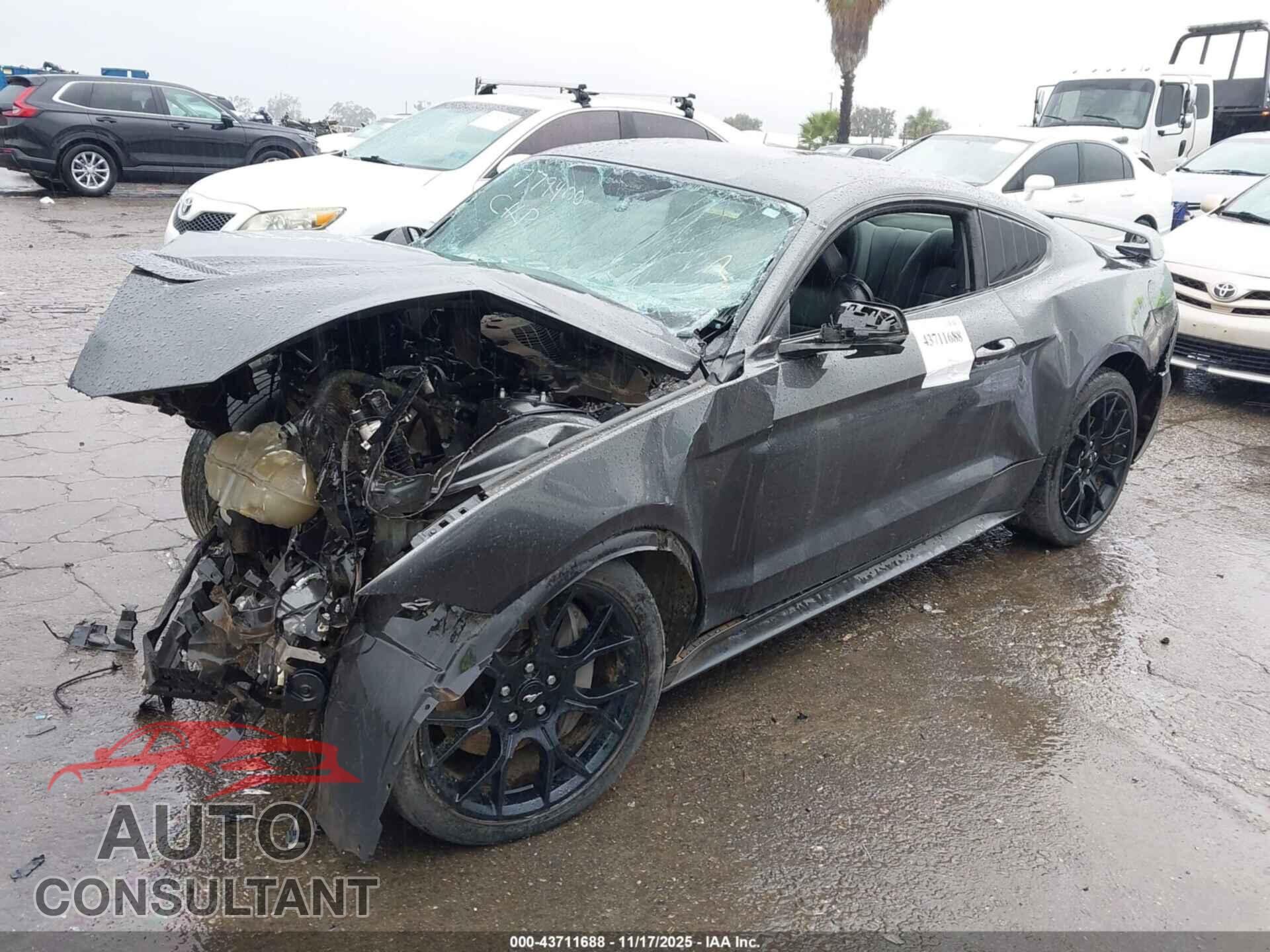 FORD MUSTANG 2019 - 1FA6P8TH3K5118867