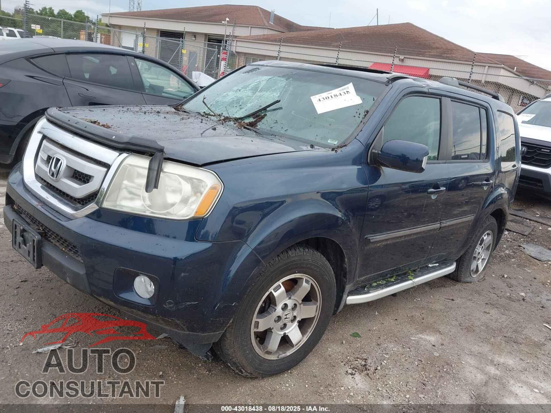 HONDA PILOT 2010 - 5FNYF4H9XAB003647