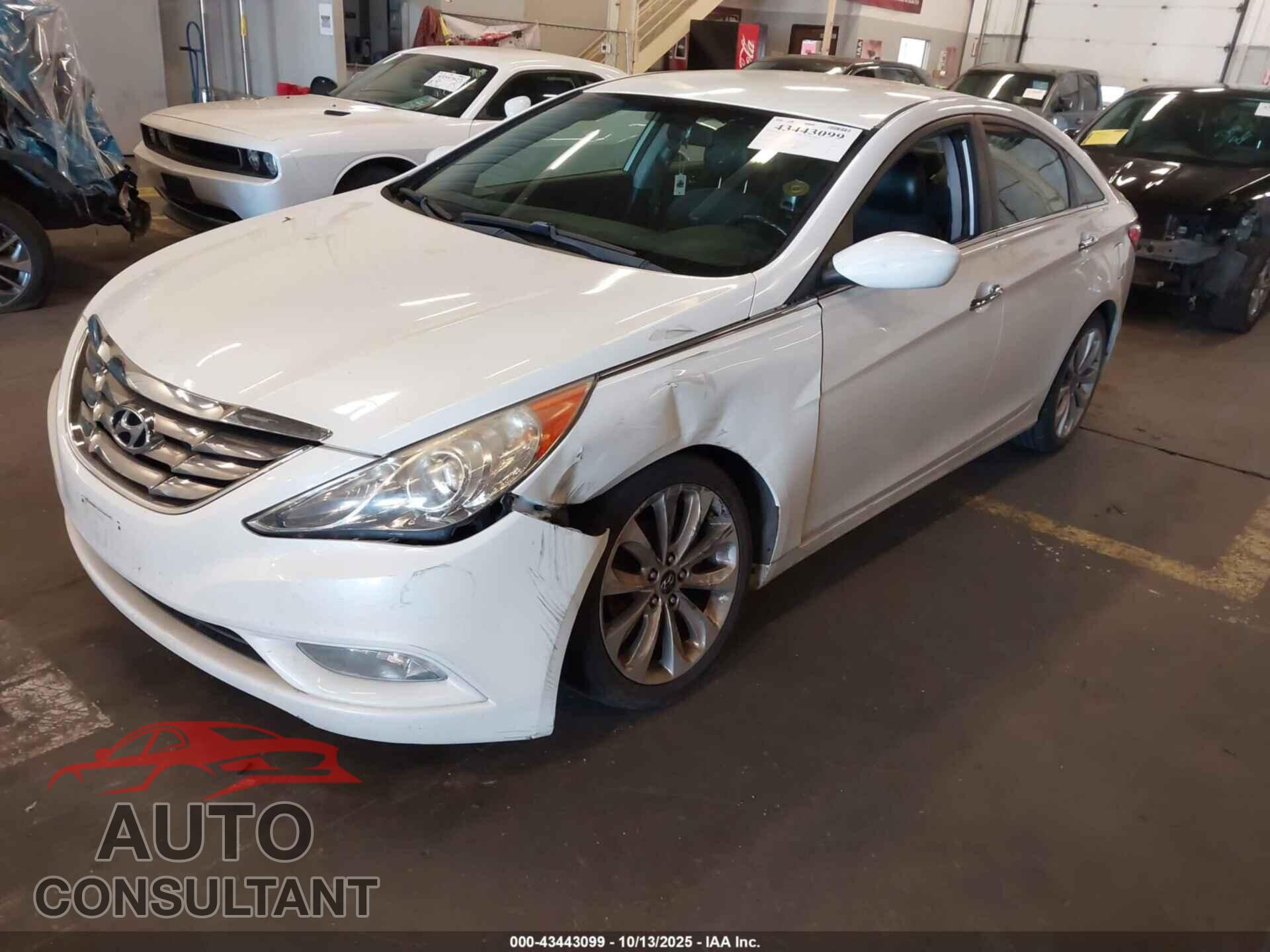 HYUNDAI SONATA 2011 - 5NPEC4ACXBH166951