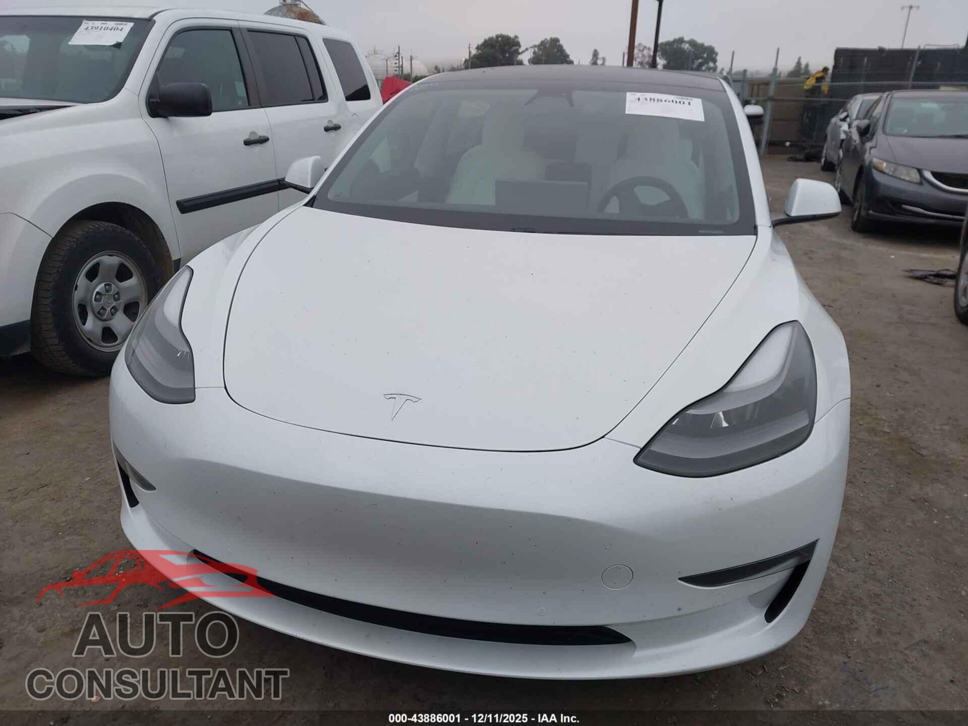 TESLA MODEL 3 2021 - 5YJ3E1EA9MF927804
