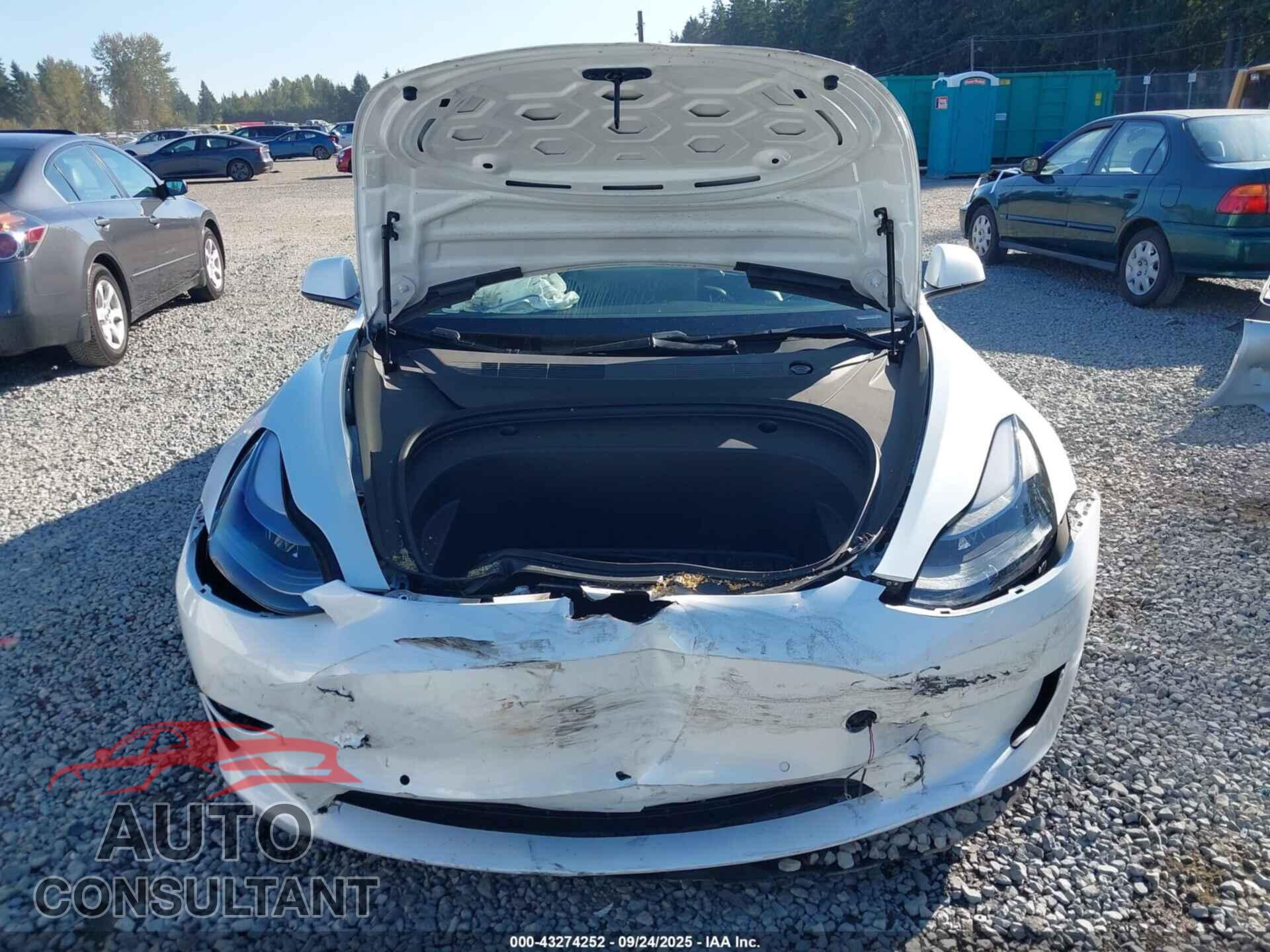 TESLA MODEL 3 2021 - 5YJ3E1EA2MF918331