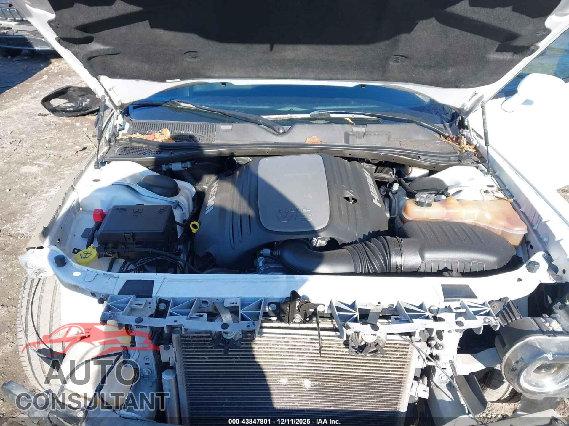 DODGE CHALLENGER 2019 - 2C3CDZBTXKH719482
