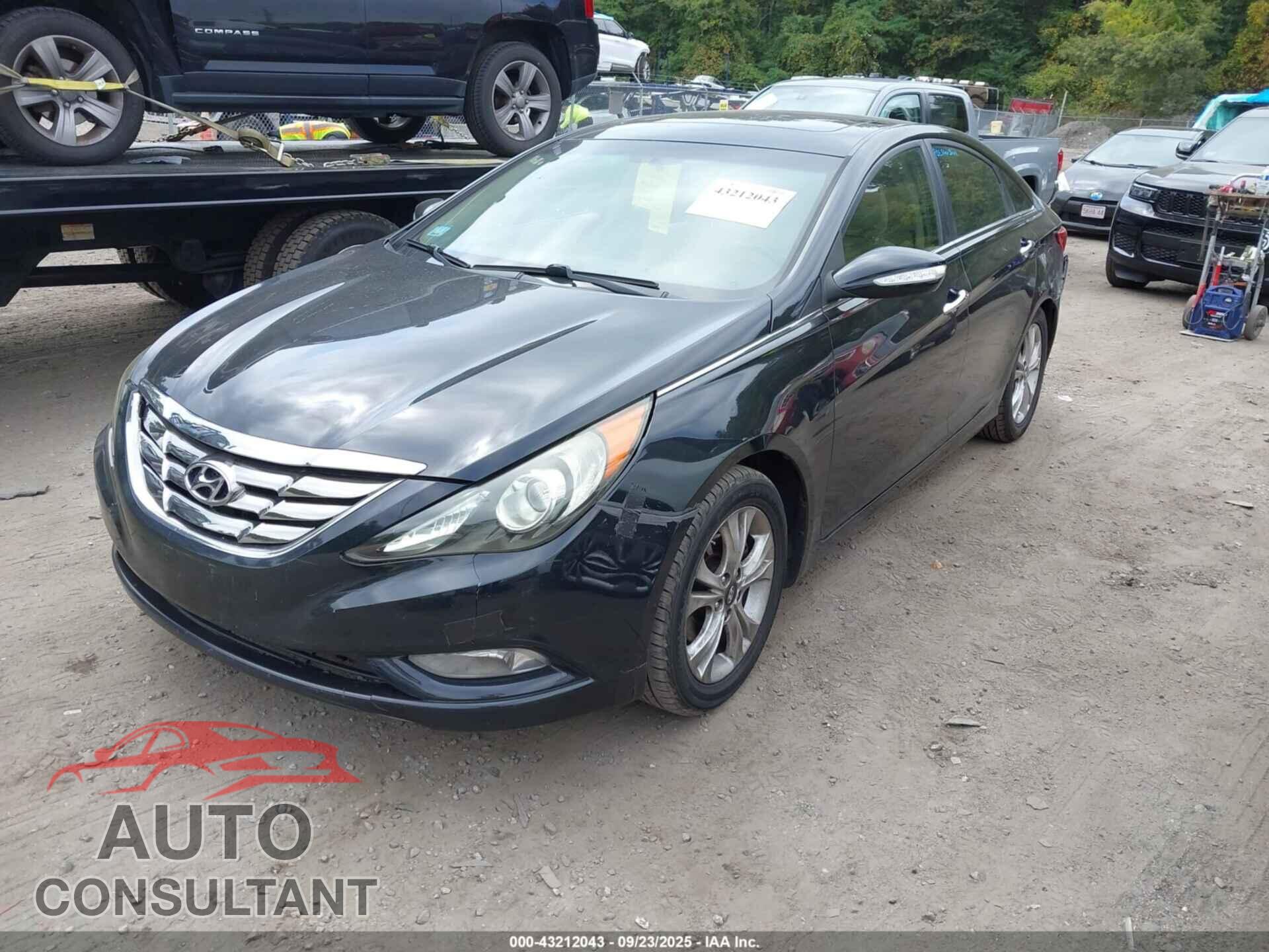HYUNDAI SONATA 2011 - 5NPEC4AC5BH137521