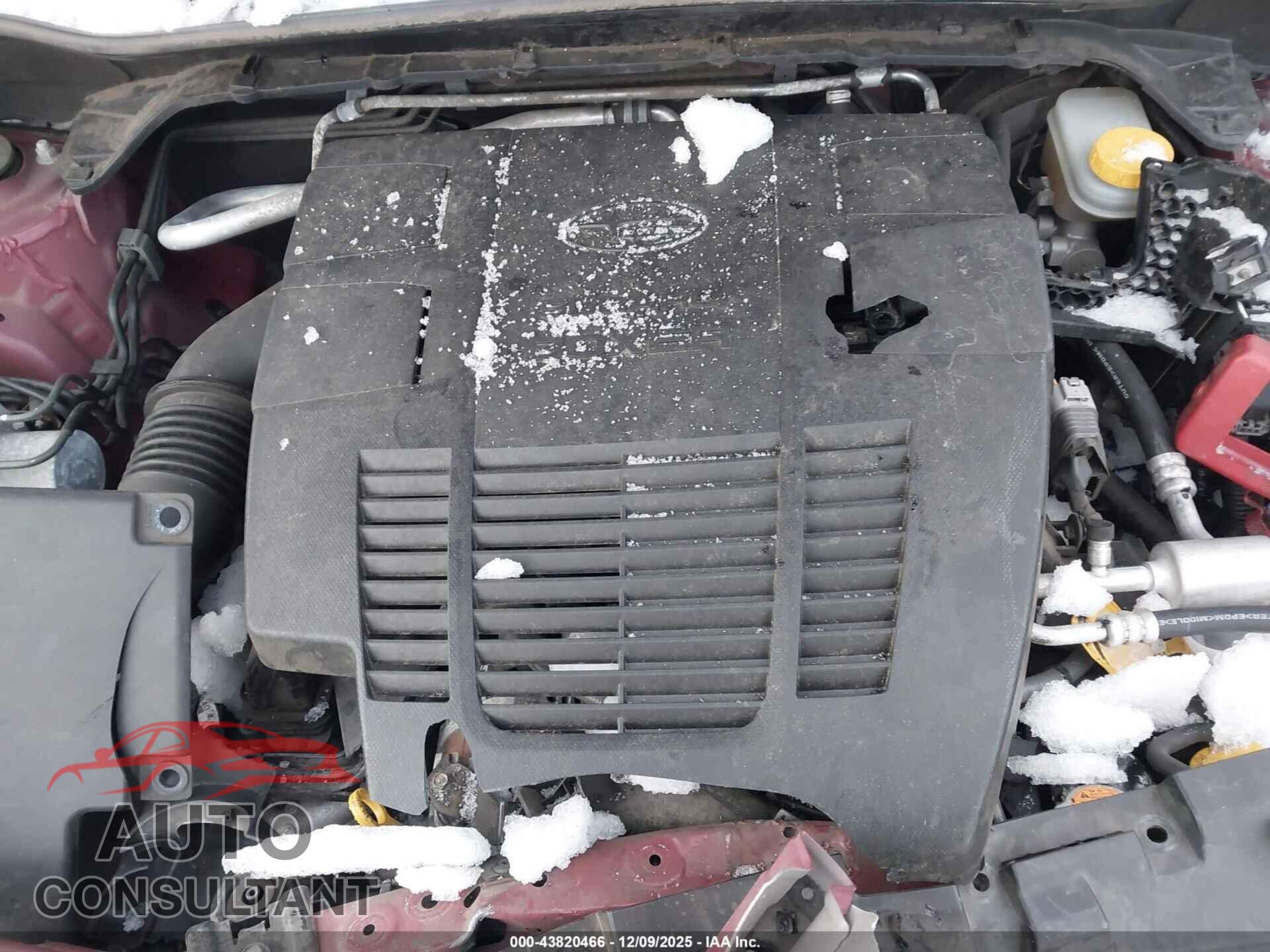 SUBARU FORESTER 2019 - JF2SKAEC8KH583550