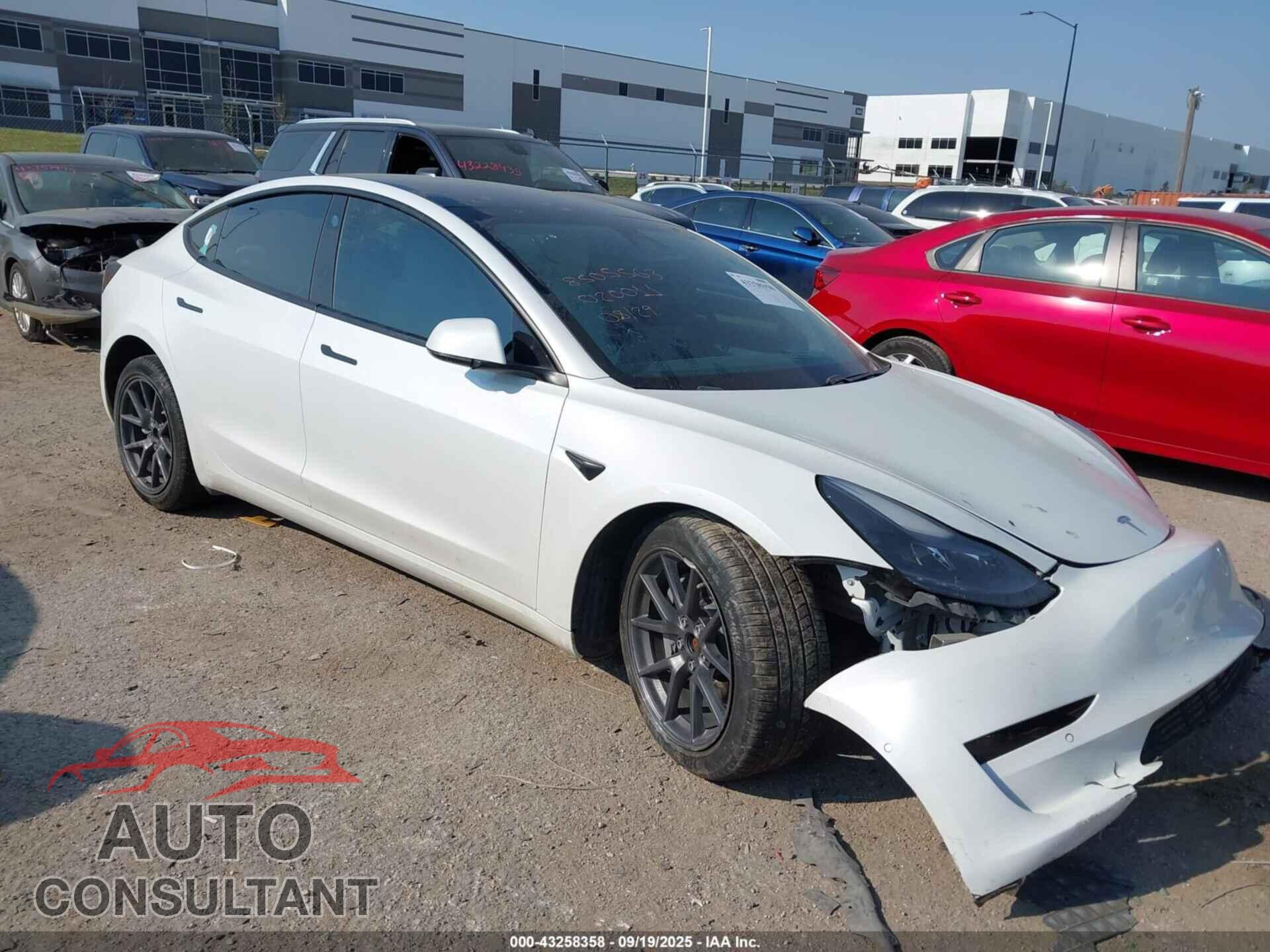 TESLA MODEL 3 2021 - 5YJ3E1EB7MF020011