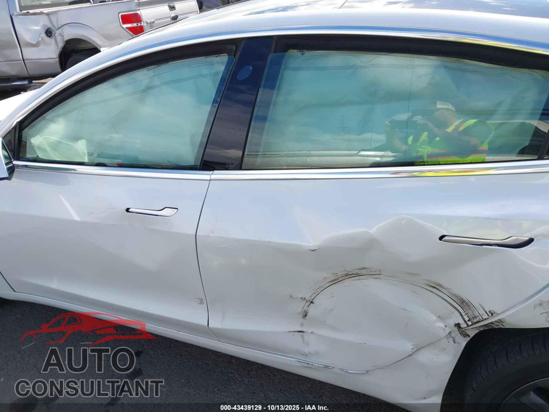 TESLA MODEL 3 2019 - 5YJ3E1EA2KF484084
