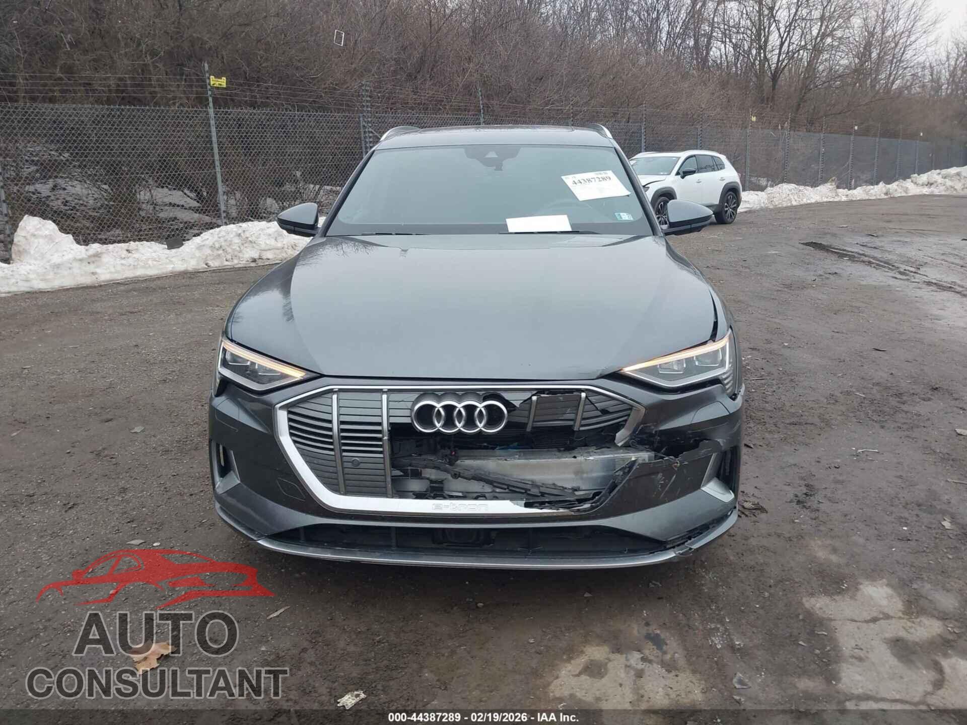 AUDI E-TRON 2019 - WA1VAAGEXKB006593