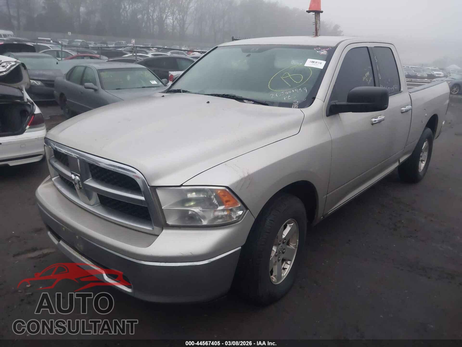 DODGE RAM 1500 2010 - 1D7RB1GP5AS196684