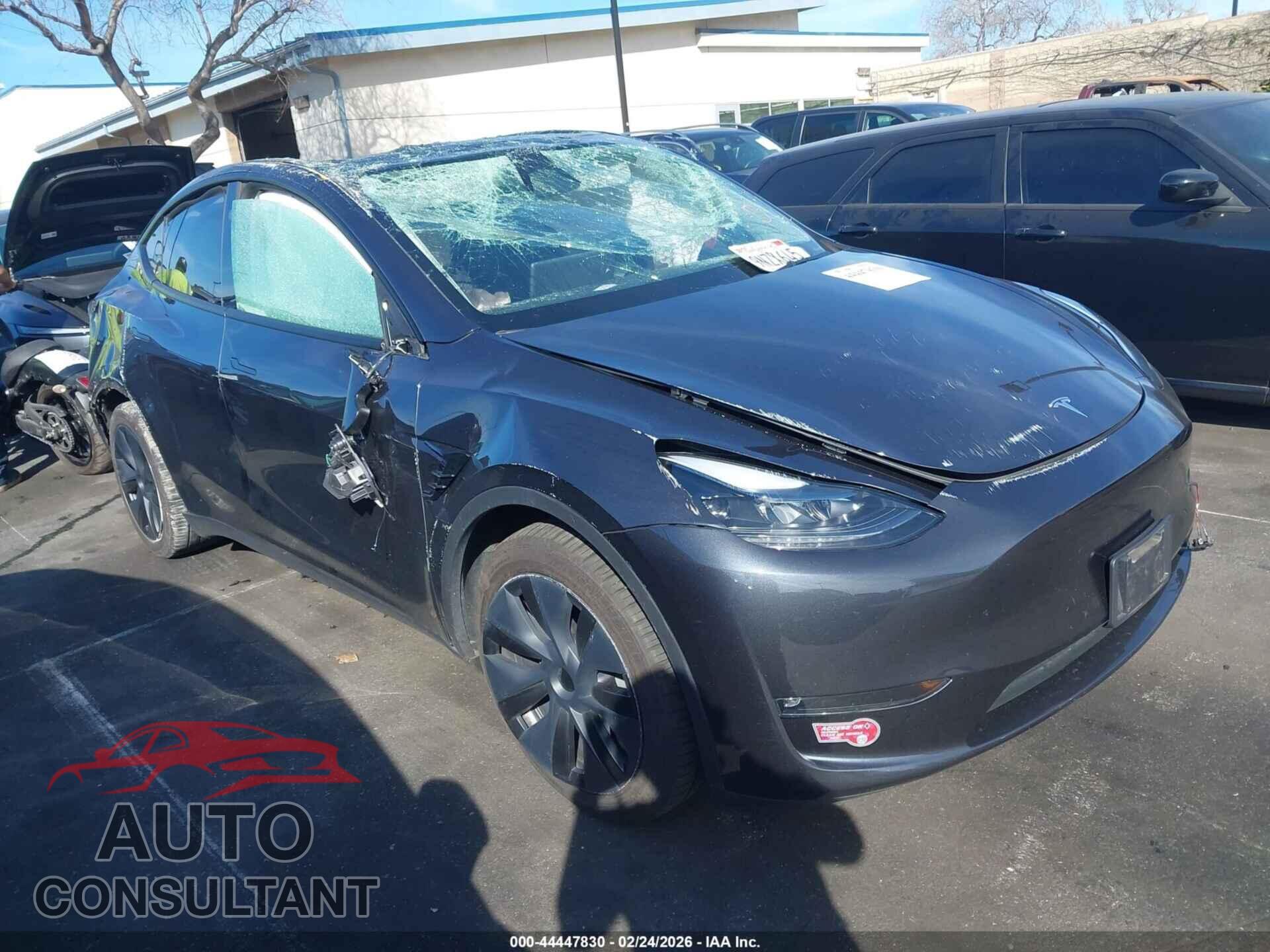 TESLA MODEL Y 2024 - 7SAYGDEE9RF195916