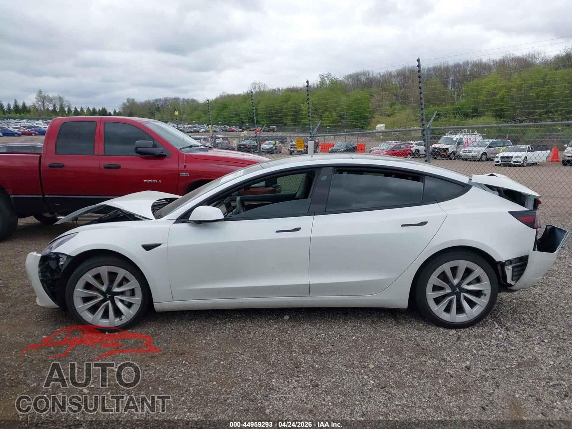 TESLA MODEL 3 2021 - 5YJ3E1EA1MF986605