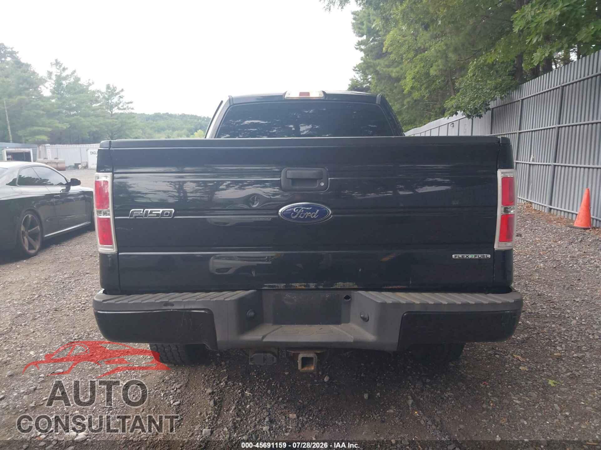 FORD F-150 2013 - 1FTFX1EF4DFD73666