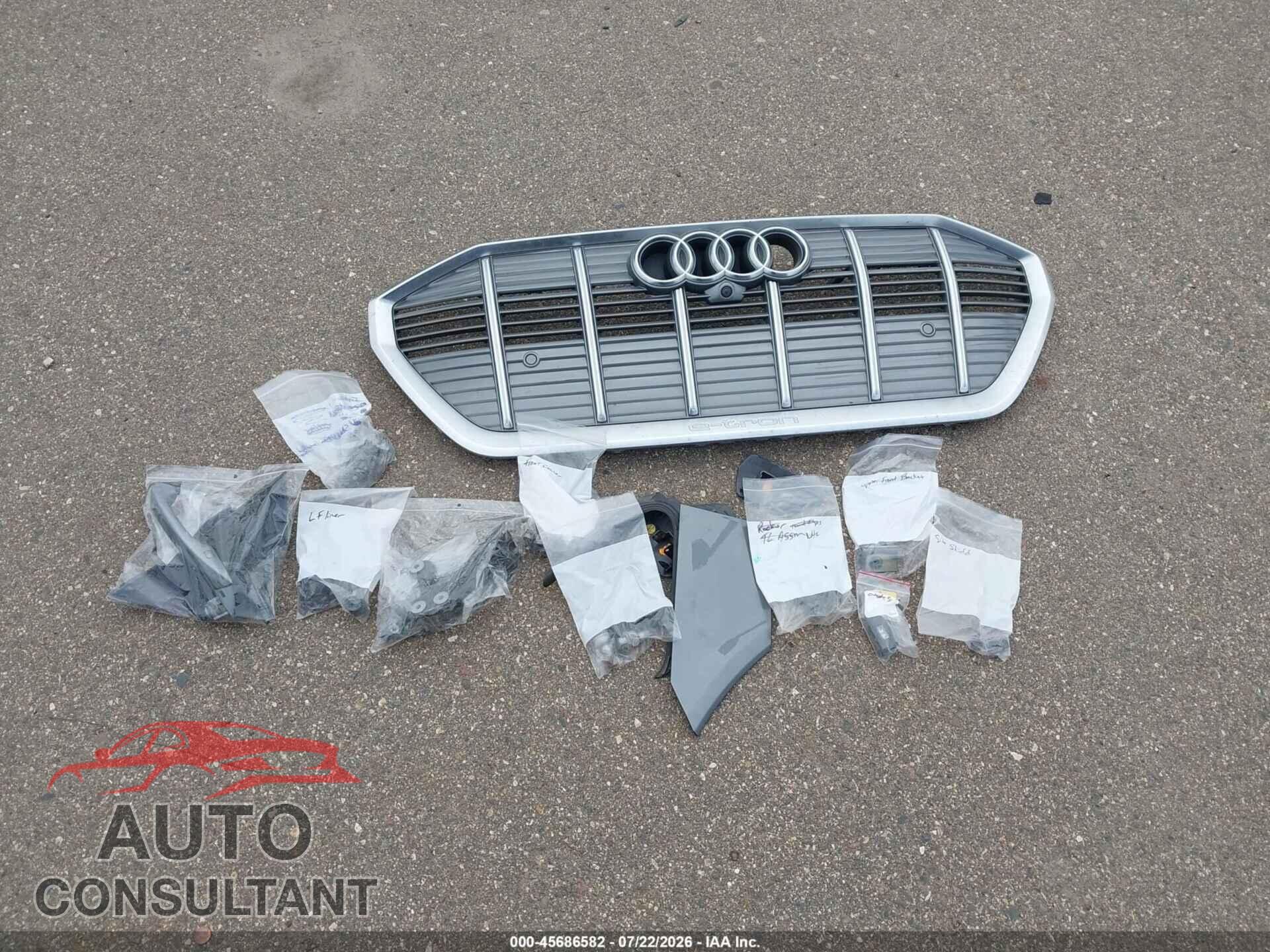 AUDI E-TRON 2019 - WA1VAAGE2KB005227