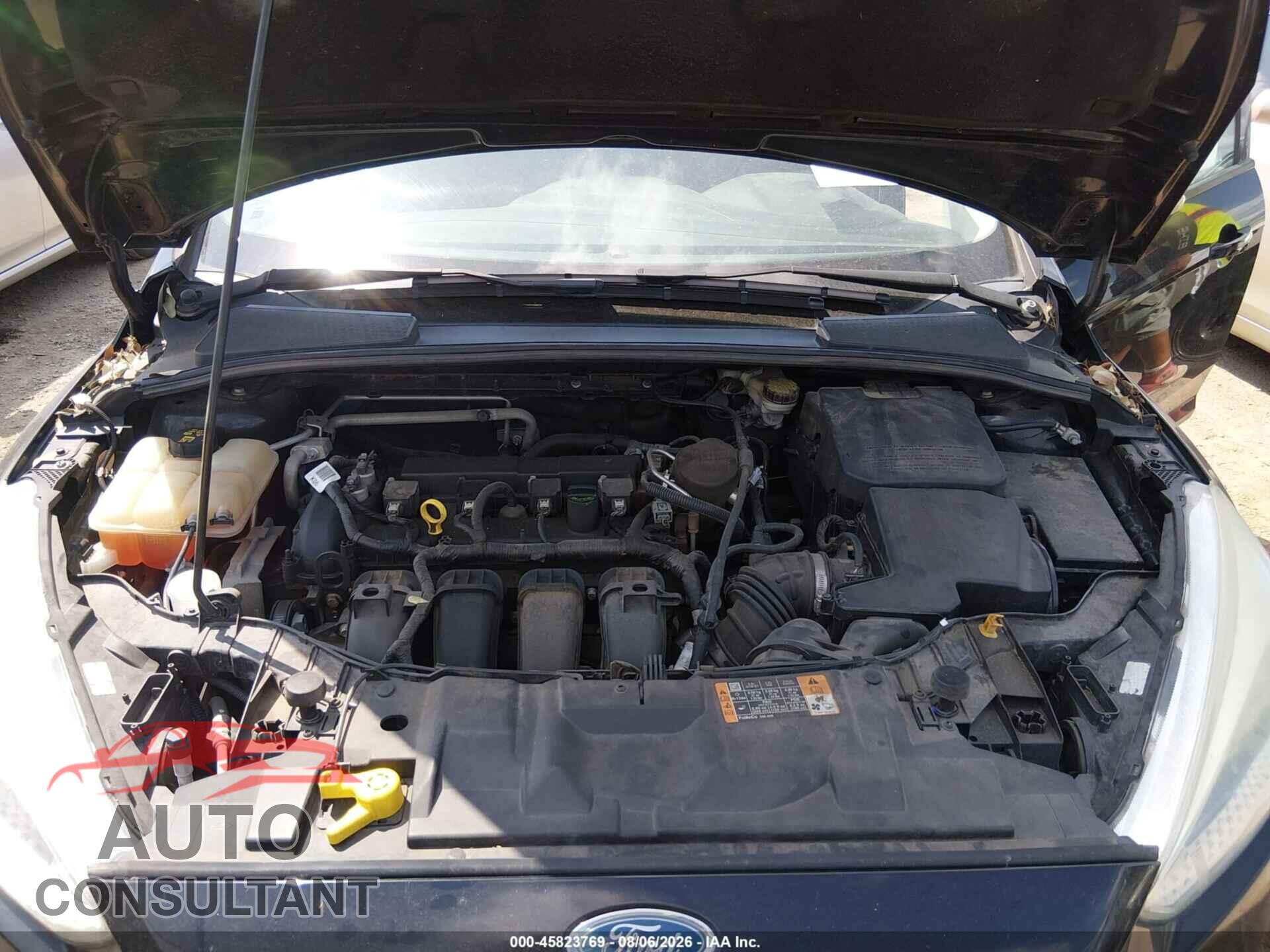 FORD FOCUS 2016 - 1FADP3F29GL237995