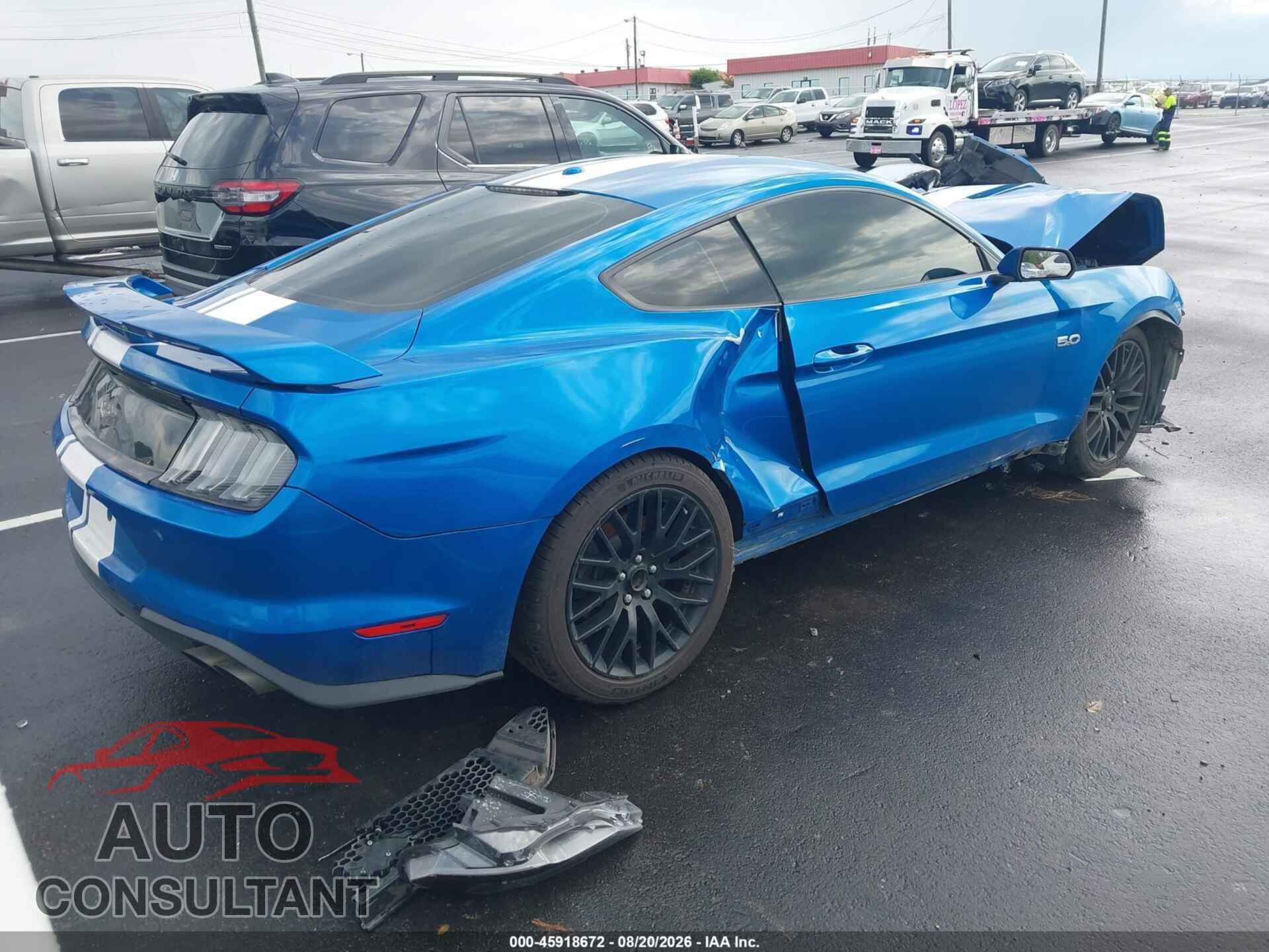 FORD MUSTANG 2019 - 1FA6P8CF4K5116463