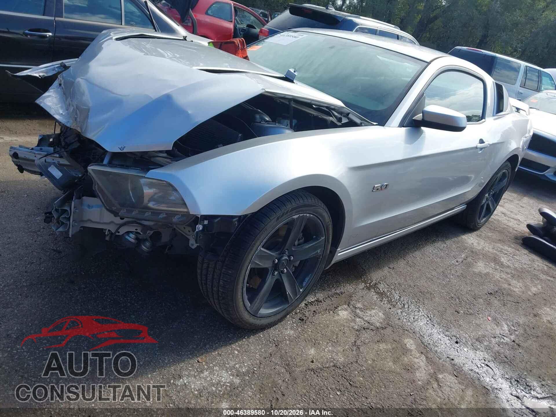 FORD MUSTANG 2013 - 1ZVBP8CF0D5283962