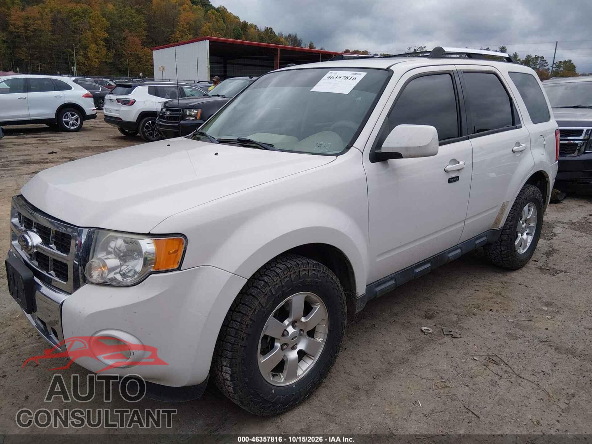 FORD ESCAPE 2011 - 1FMCU0EG8BKB13480