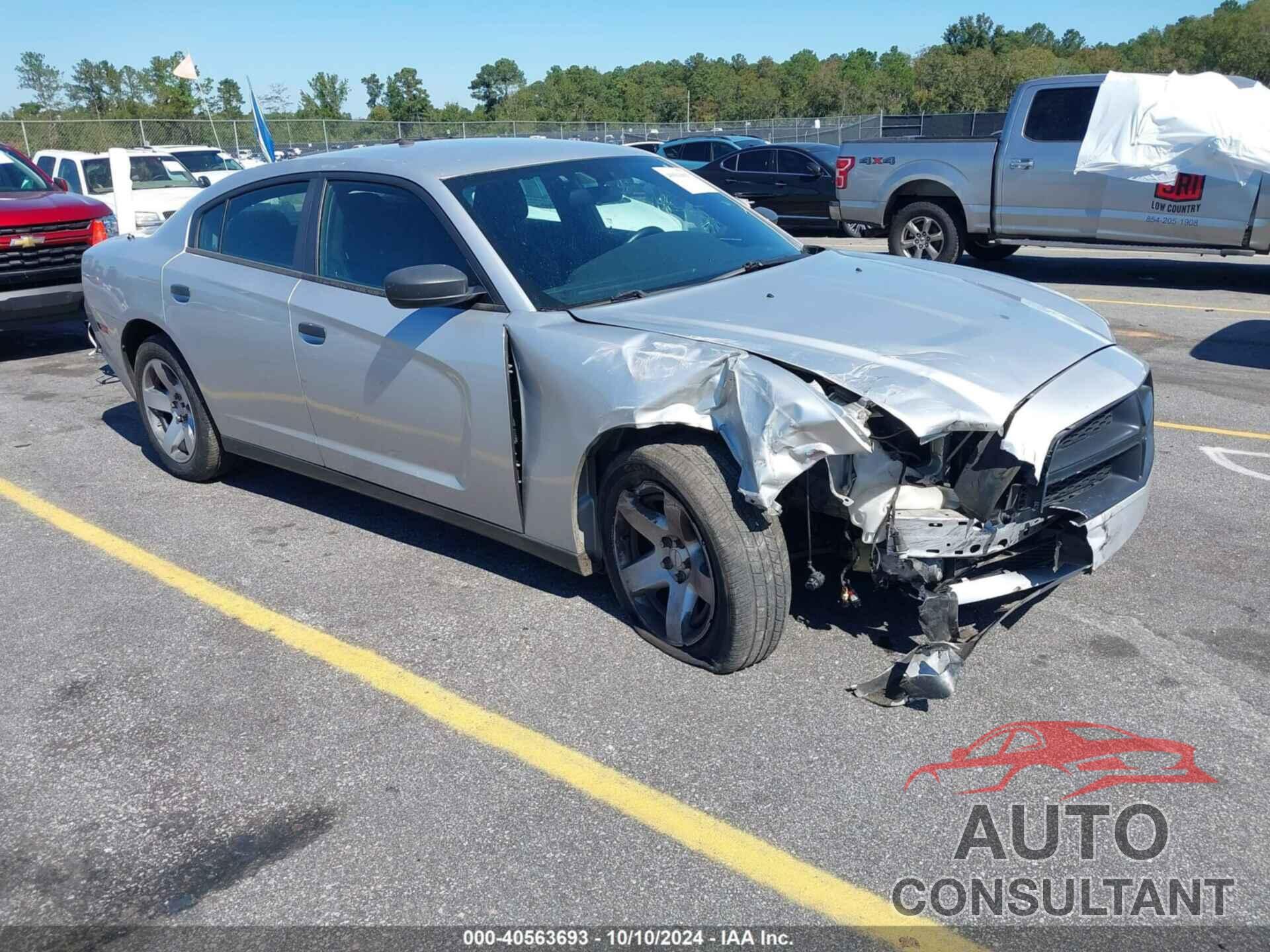 DODGE CHARGER 2014 - 2C3CDXAT3EH346537